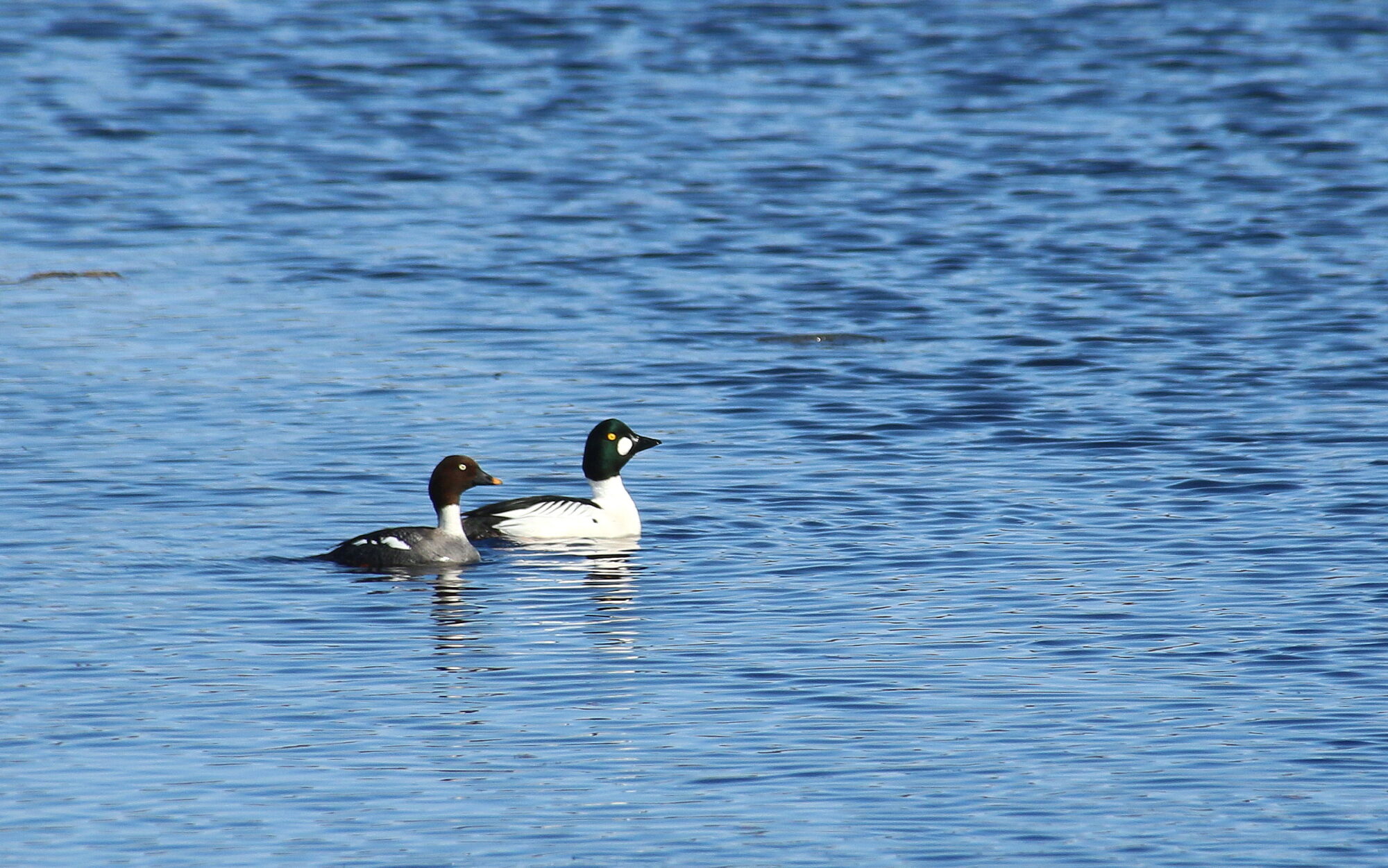 Valokuvaaja: Tuukka Pahtamaa