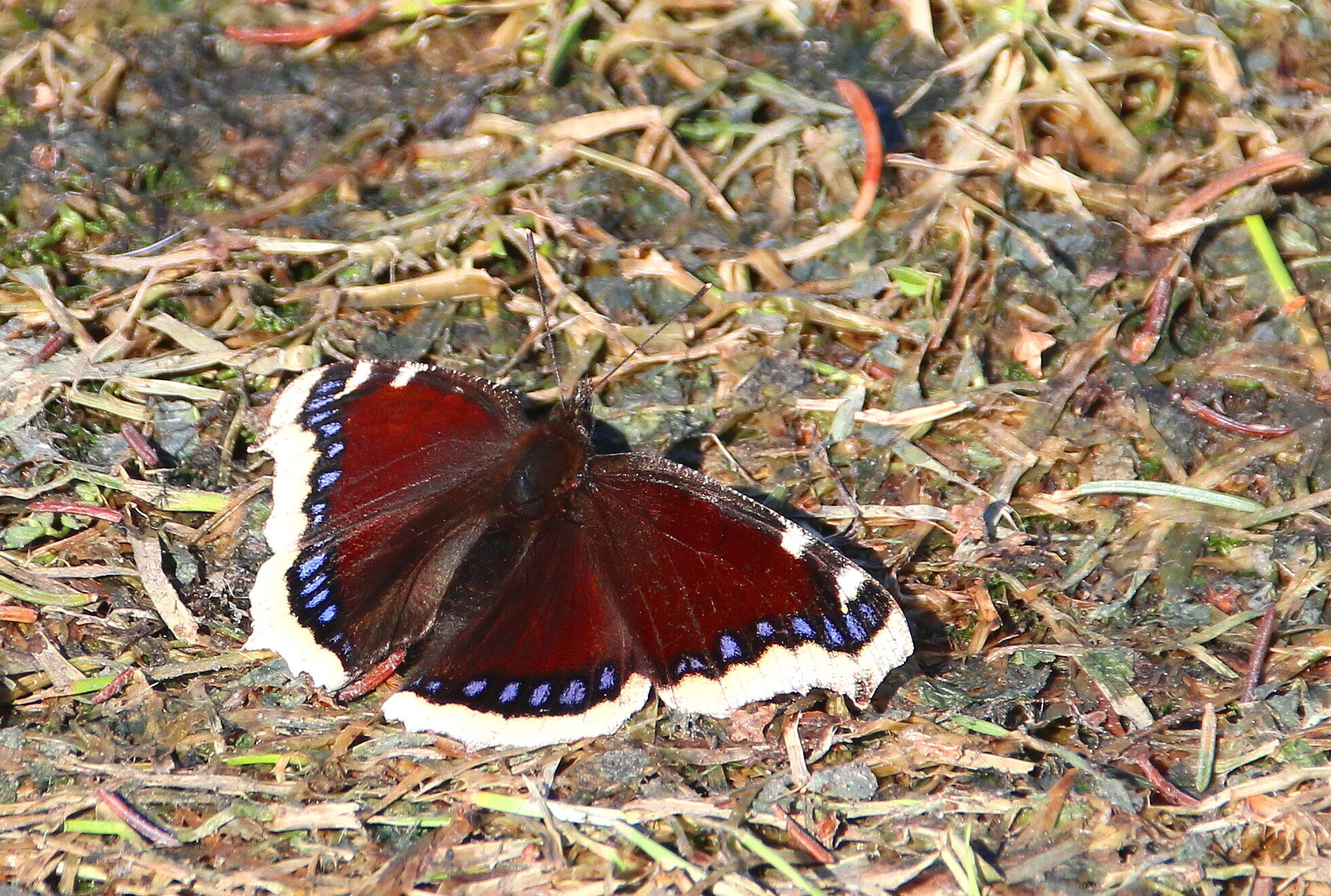 Valokuvaaja: Tuukka Pahtamaa