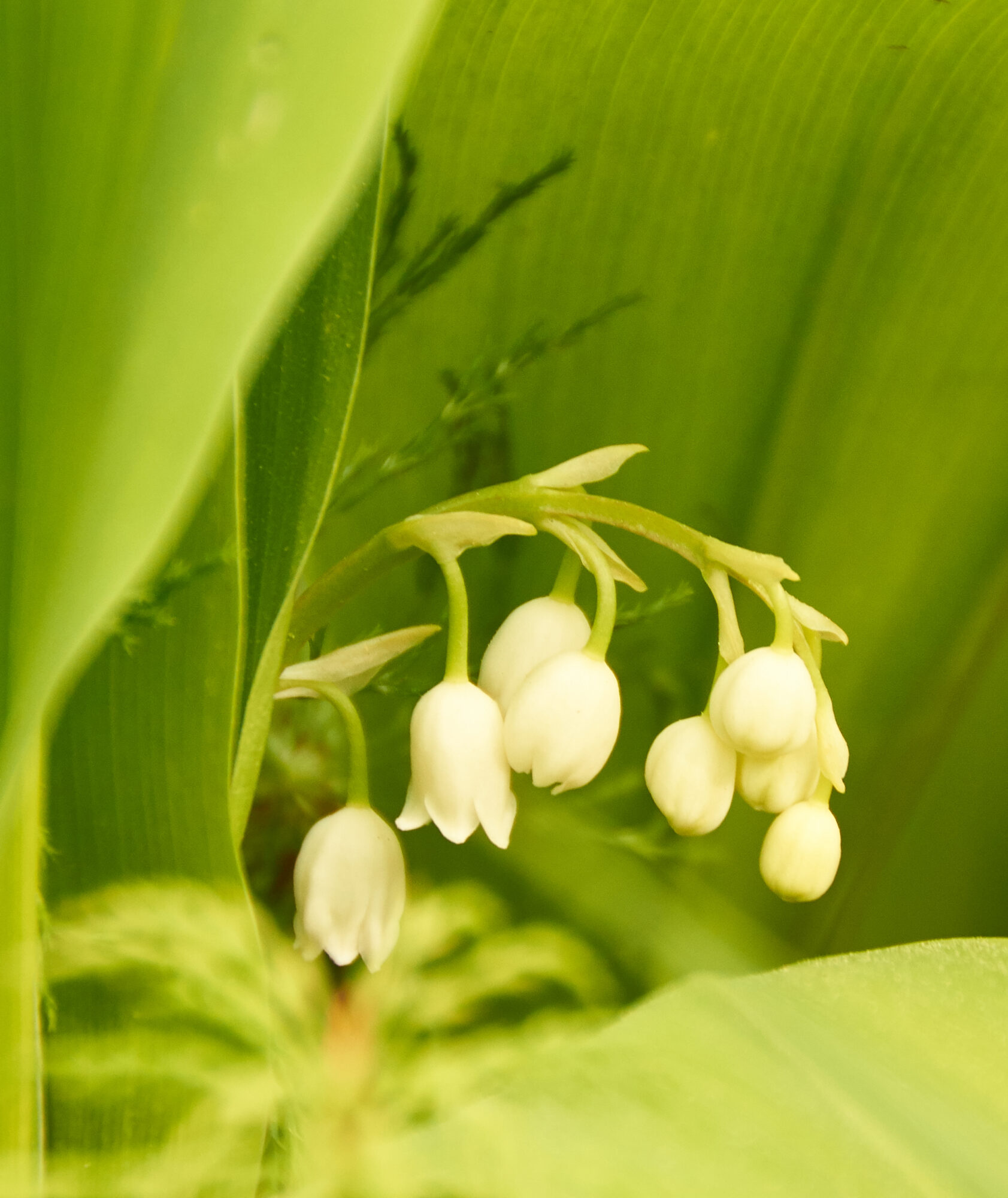 Valokuvaaja: Tarja Kouvo Valokuvaaja: Tarja Kouvo