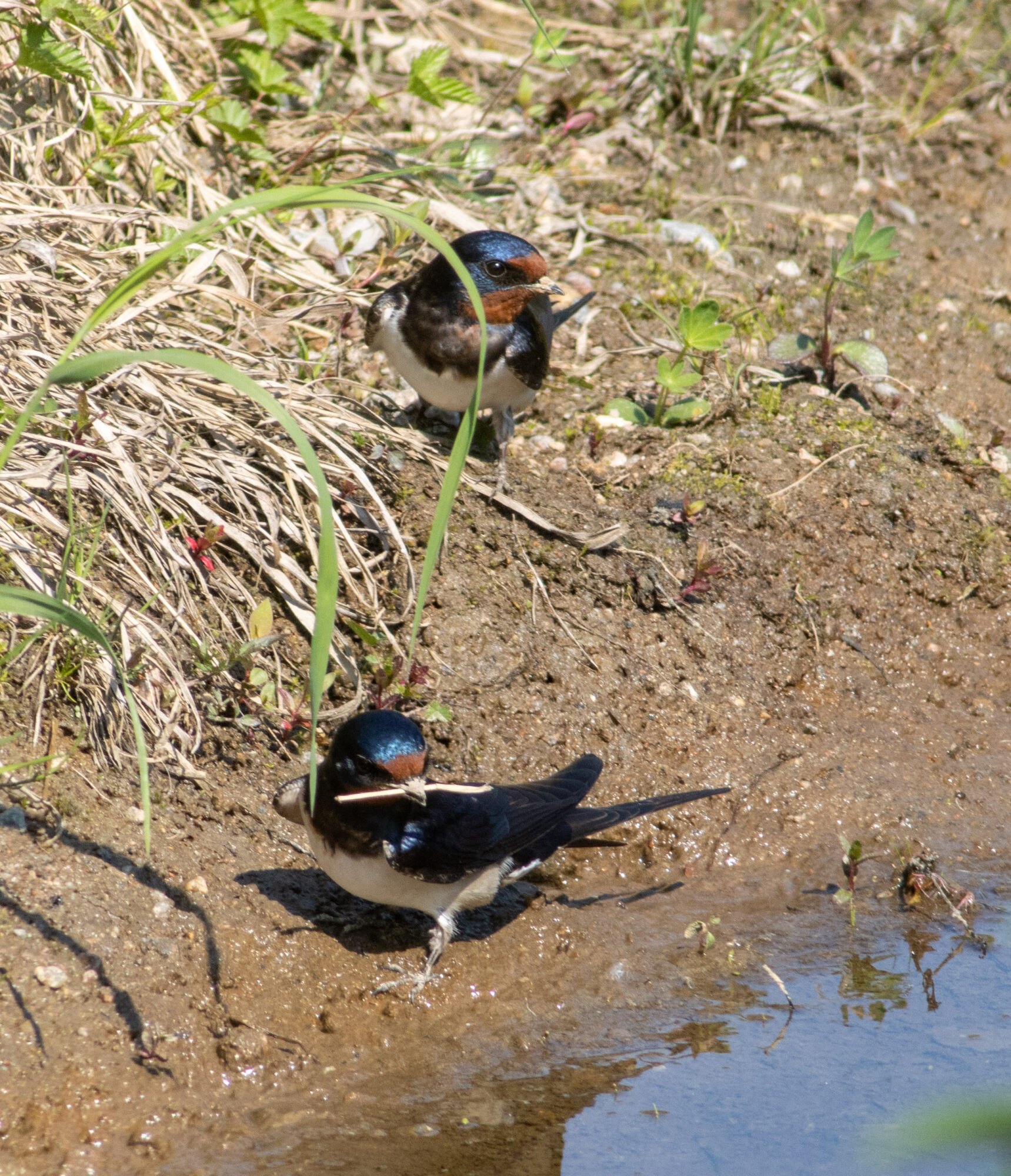Valokuvaaja: Sanna Honkala