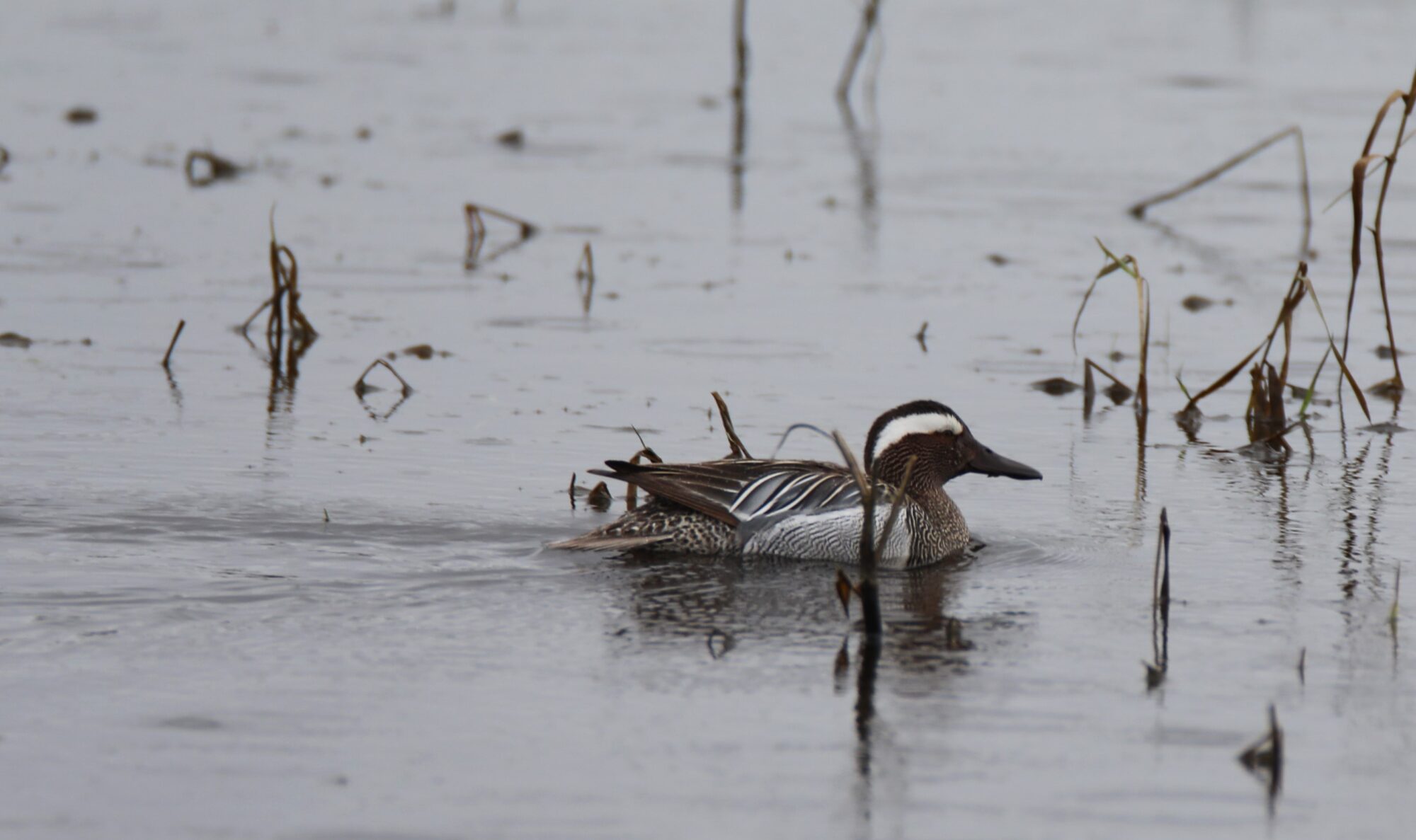 Valokuvaaja: Ahti Keränen