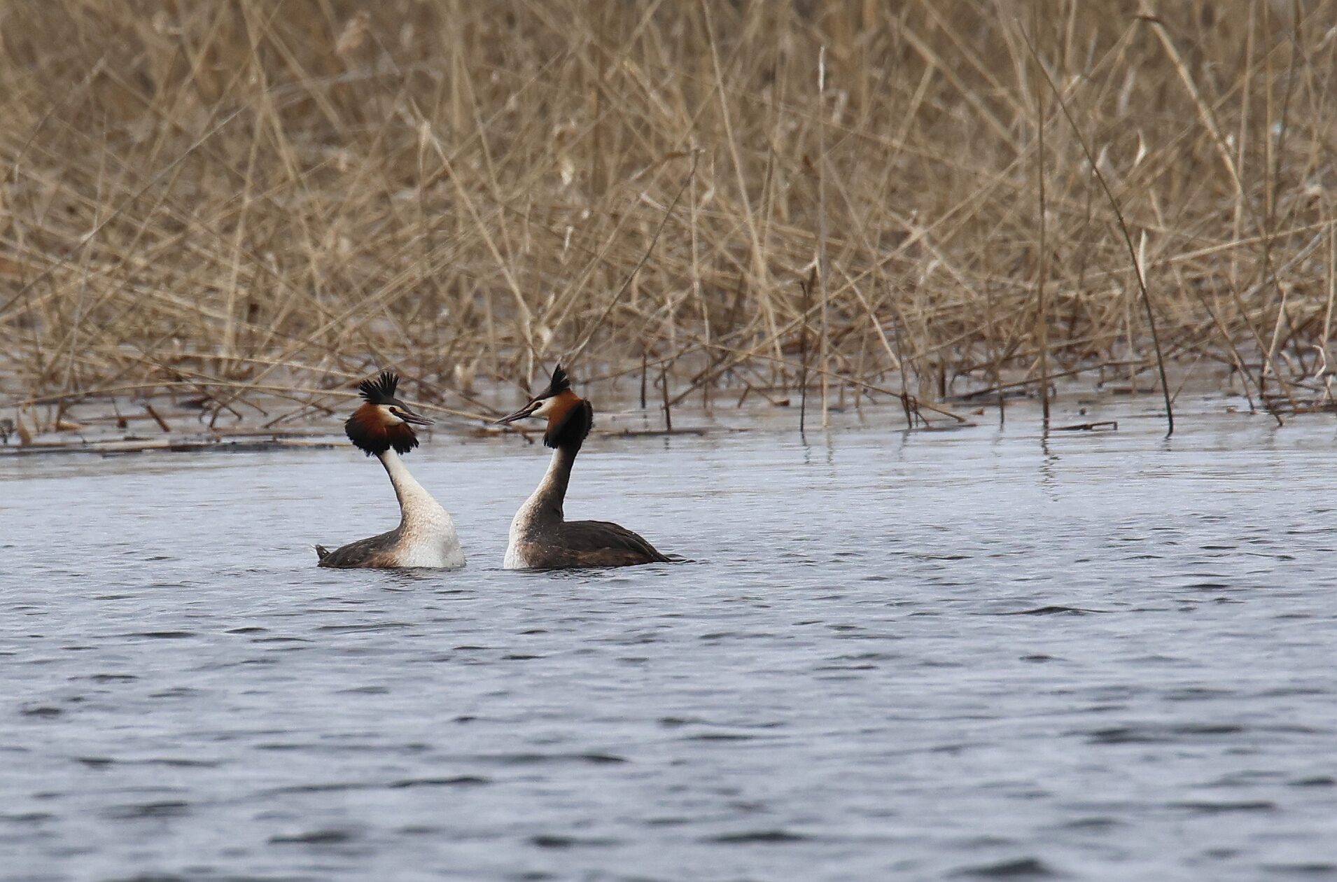 Valokuvaaja: Jaana Saarelainen