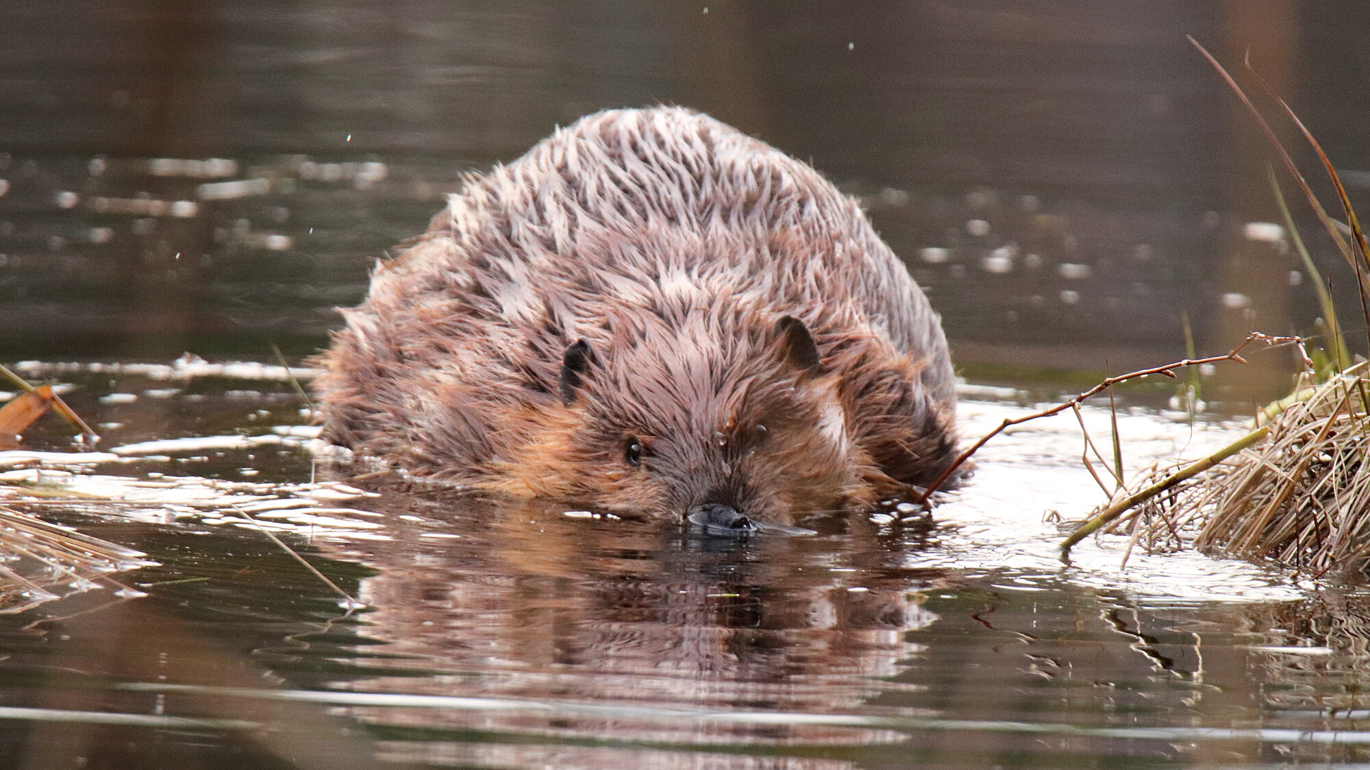 Valokuvaaja: sirpa Jyske