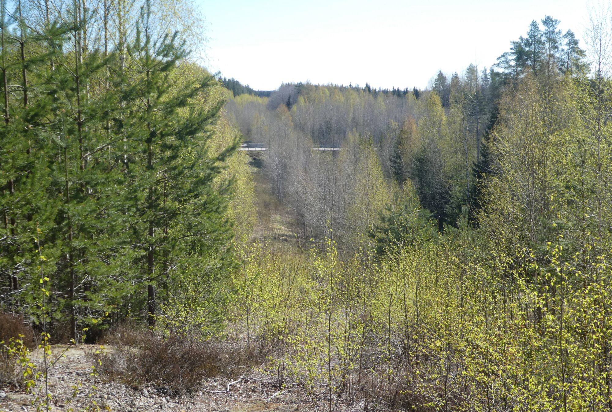 Valokuvaaja: Anja Mustamaa Valokuvaaja: Anja Mustamaa