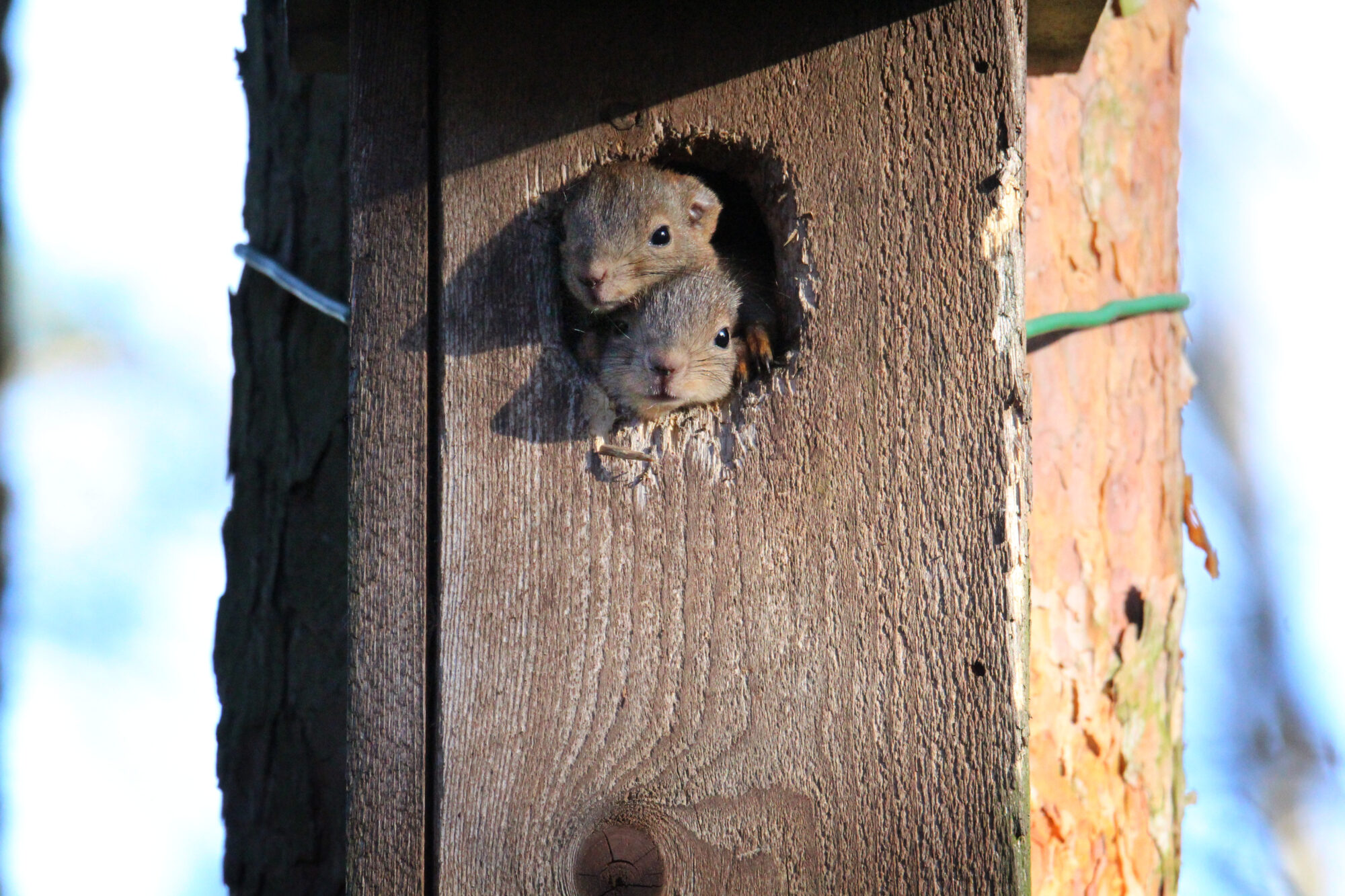 Valokuvaaja: Aurora Tani