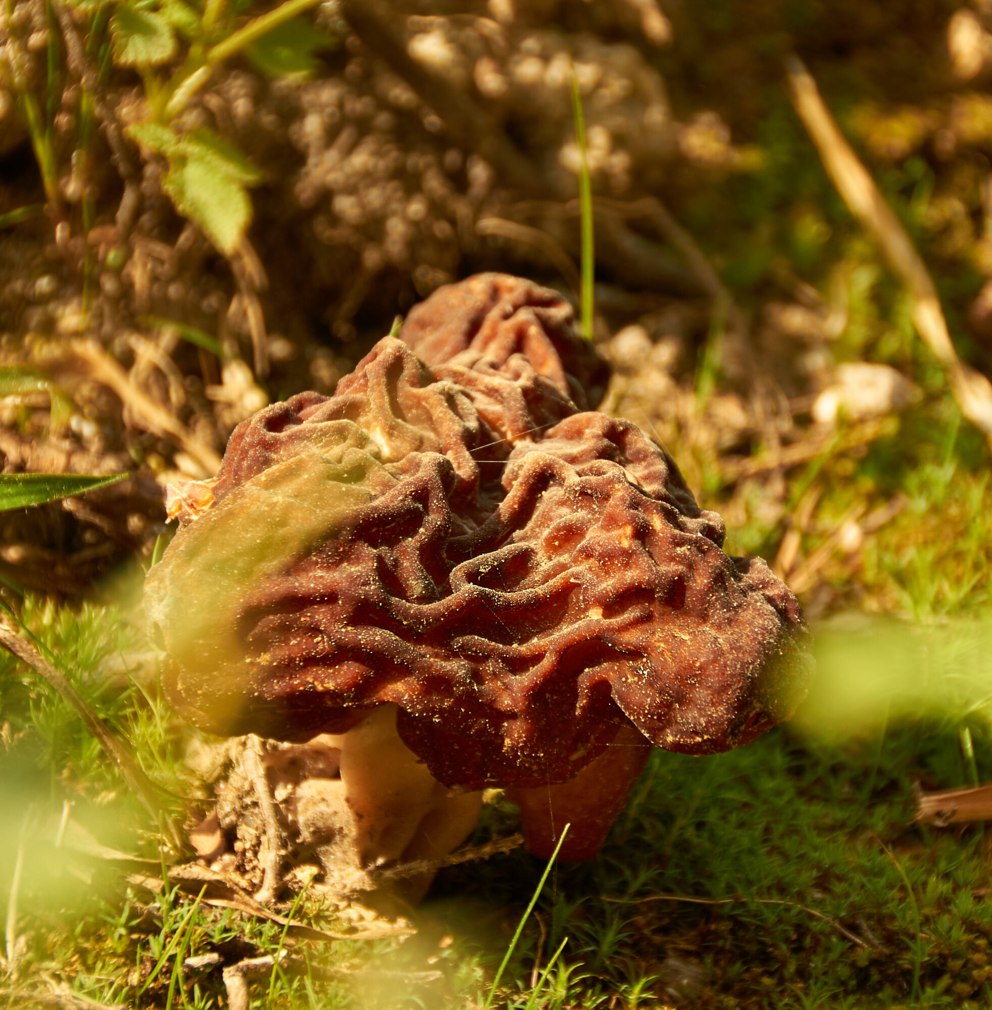 Valokuvaaja: Tarja Kouvo