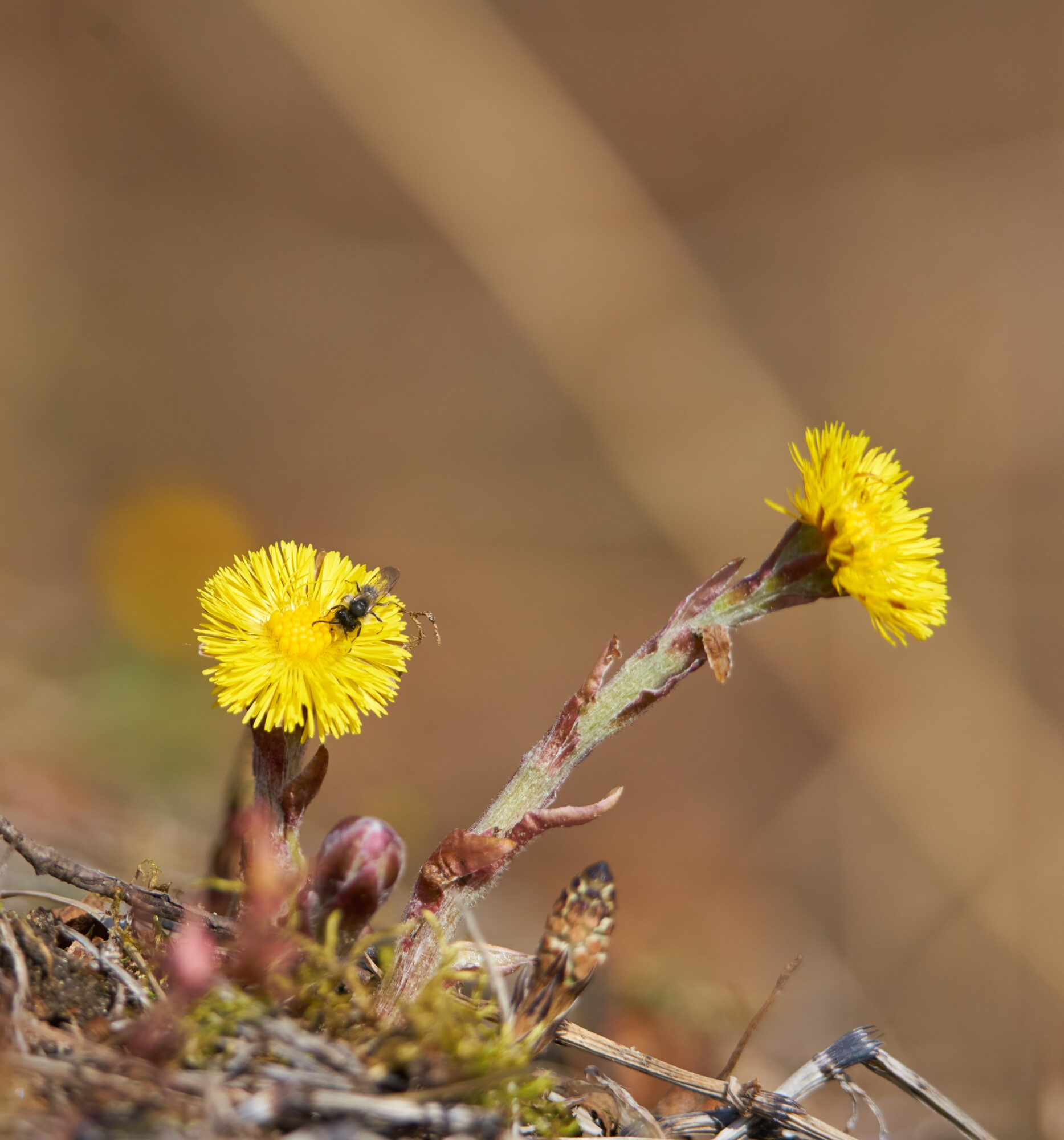 Valokuvaaja: Tarja Kouvo