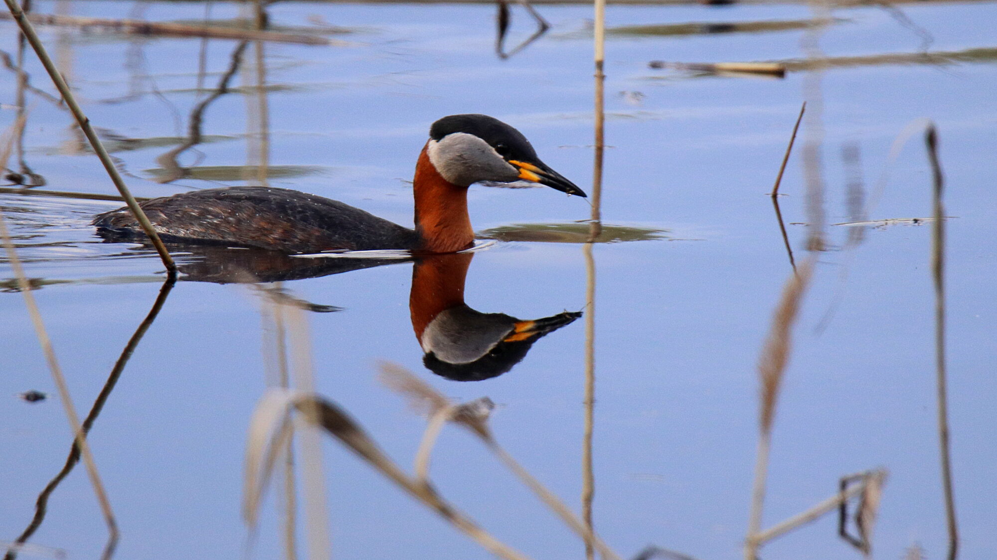 Valokuvaaja: sirpa Jyske