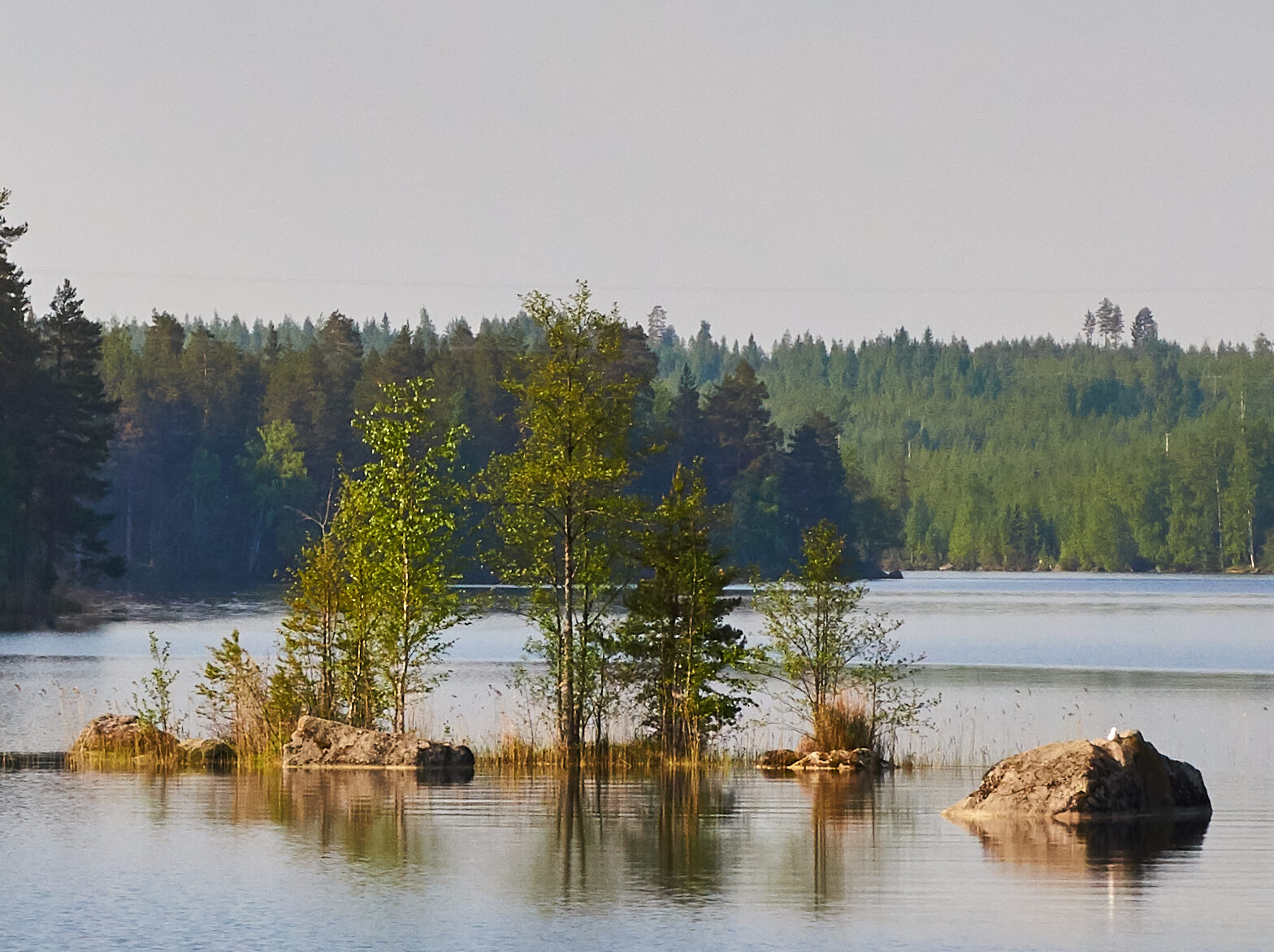 Valokuvaaja: Tarja Kouvo