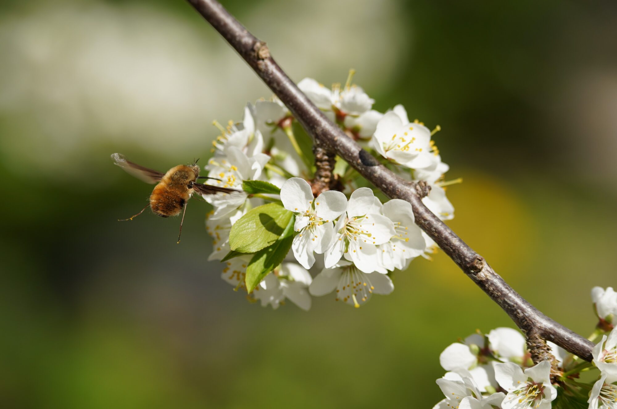 Valokuvaaja: Arja Pohto