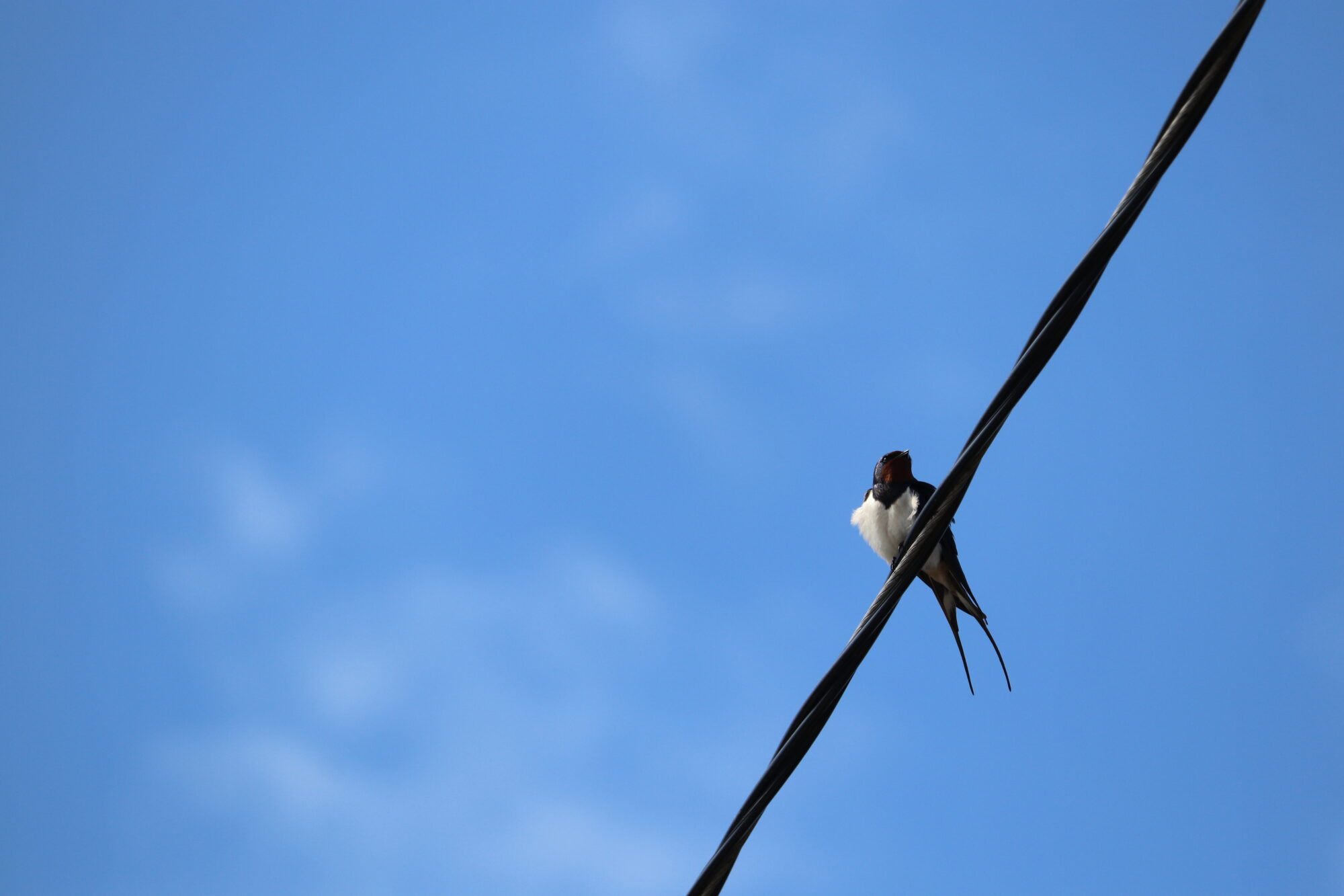 Valokuvaaja: Riitta Marjamäki Valokuvaaja: Riitta Marjamäki