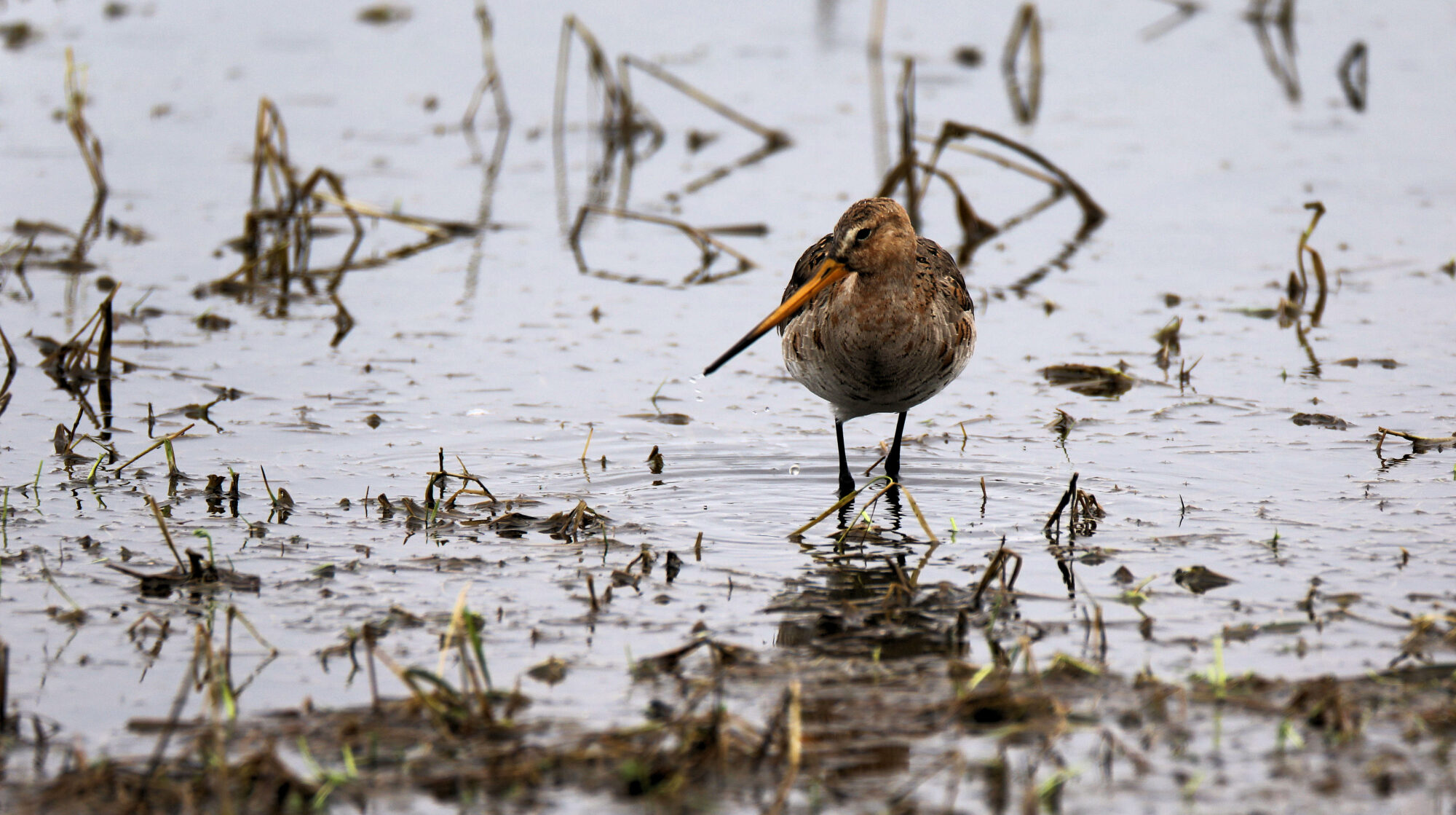 Valokuvaaja: Ahti Keränen