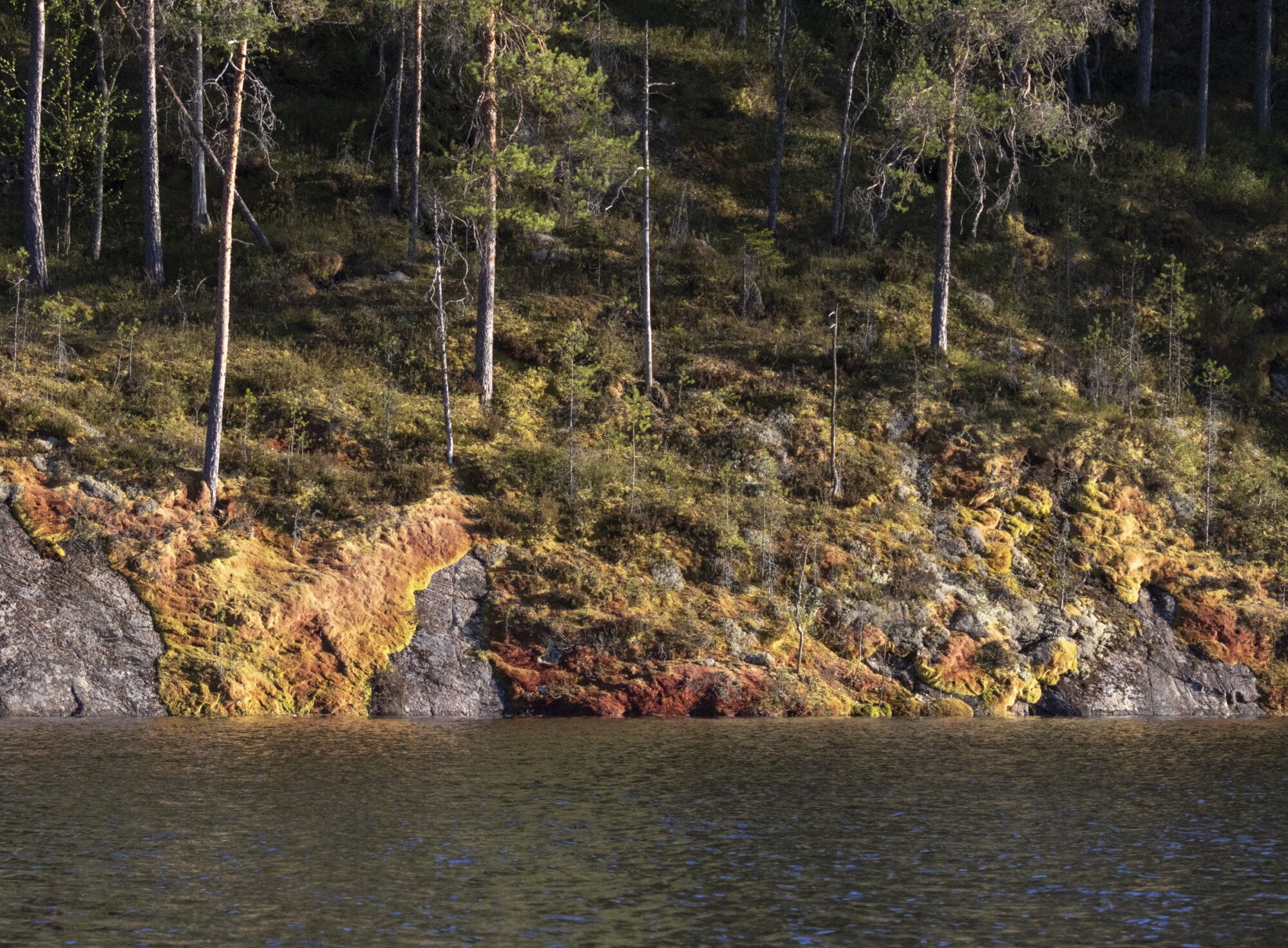 Valokuvaaja: Hannu Tikkanen