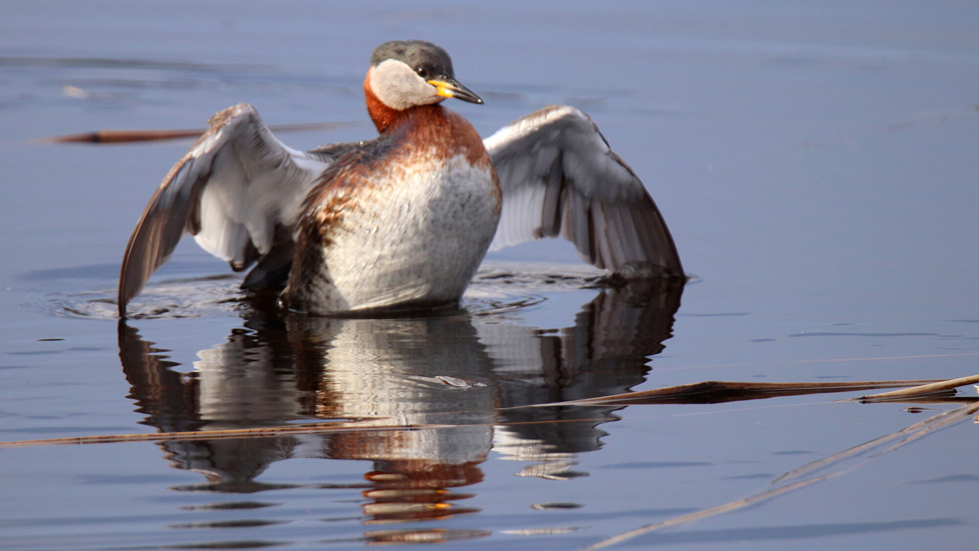 Valokuvaaja: sirpa Jyske Valokuvaaja: sirpa Jyske