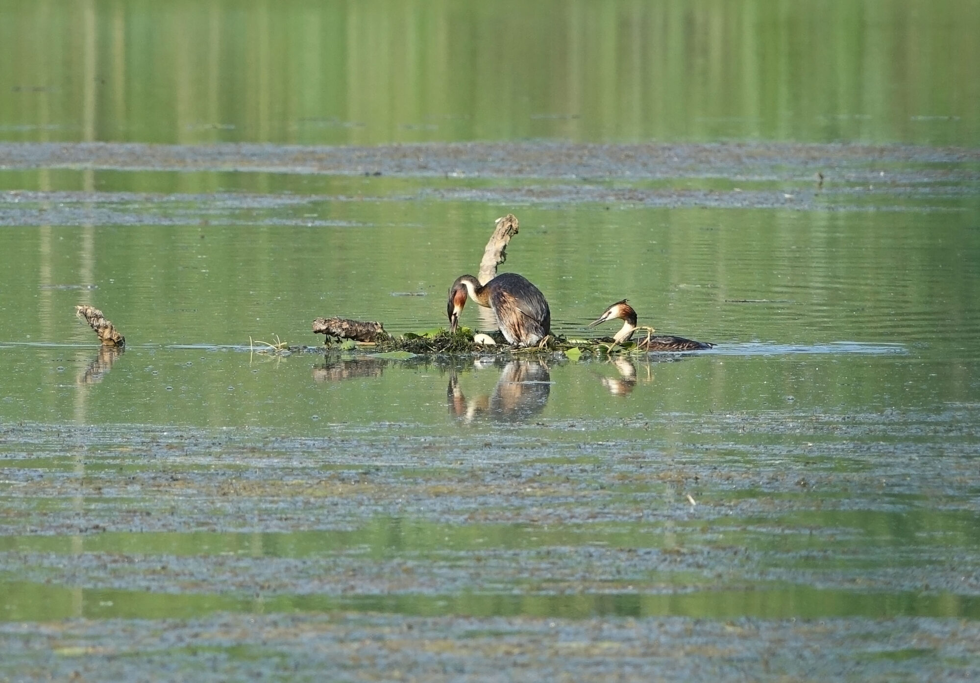 Valokuvaaja: Tapio Lahtinen