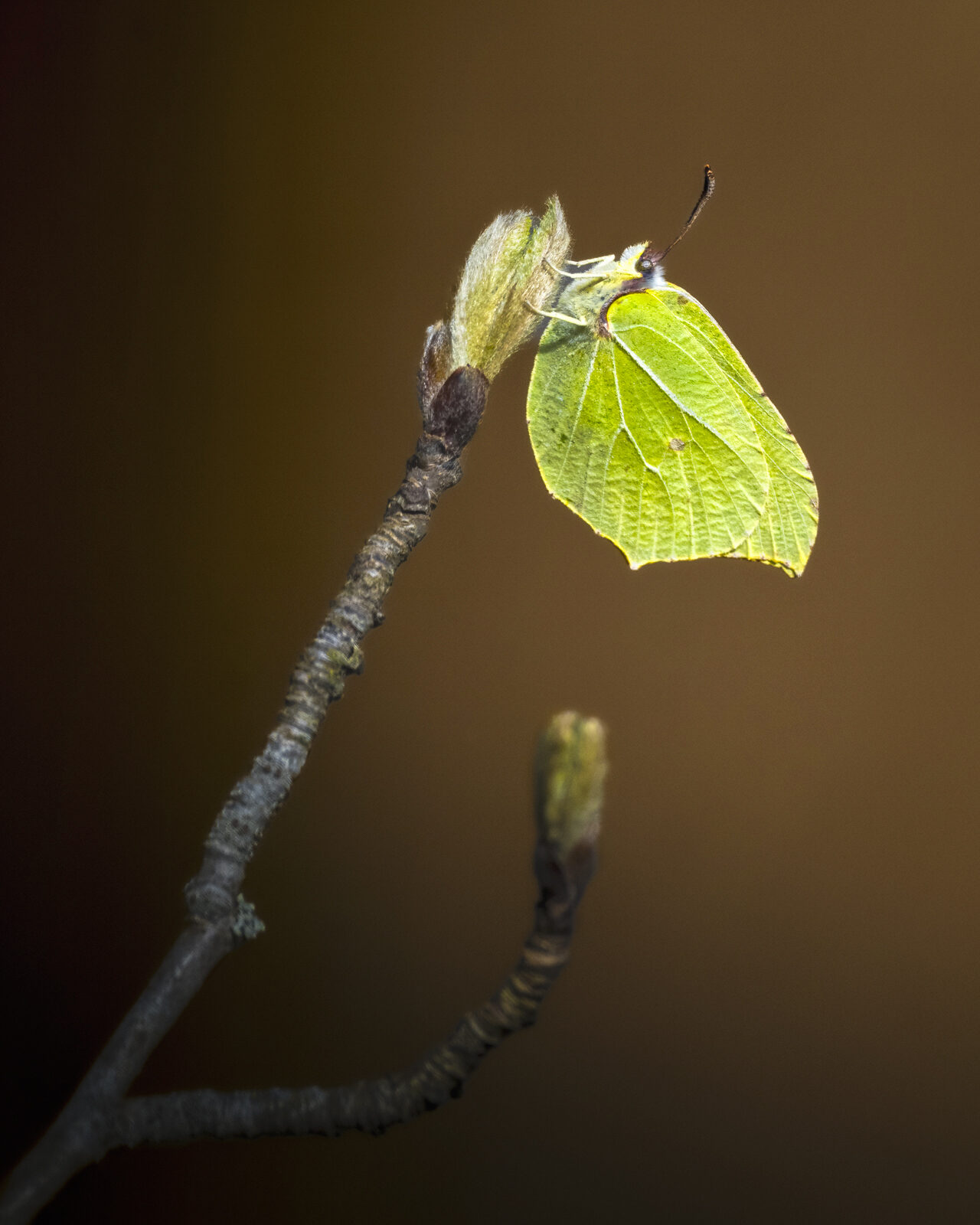 Valokuvaaja: Risto Lavi