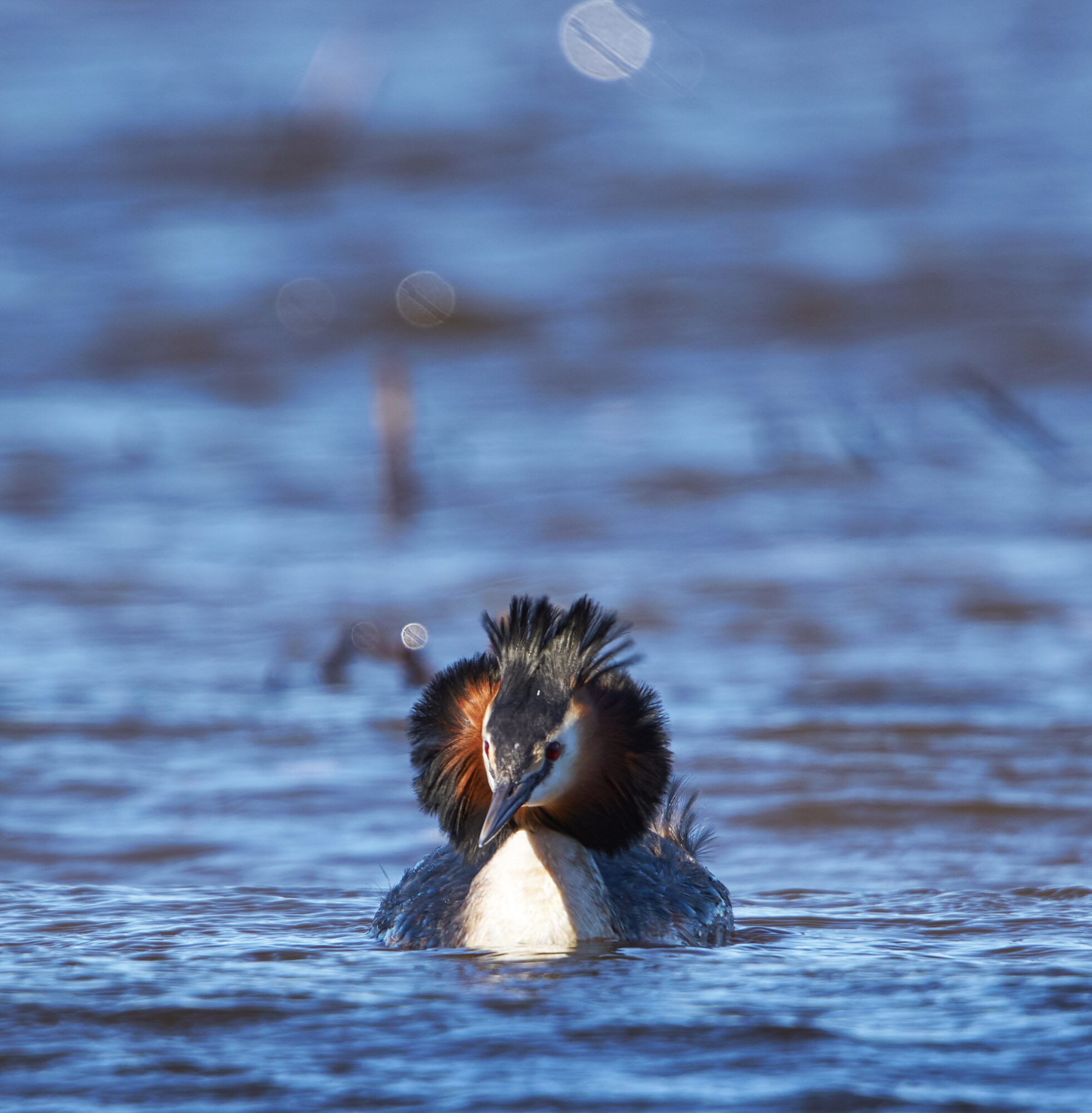Valokuvaaja: Tarja Kouvo