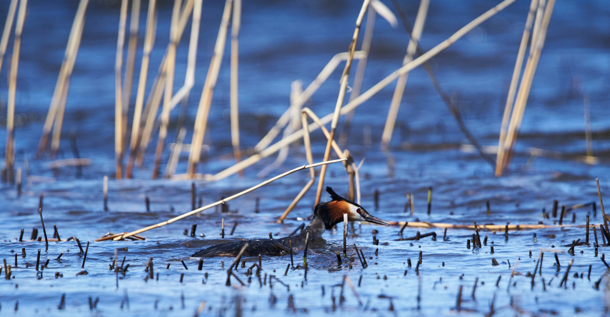 Valokuvaaja: Tarja Kouvo