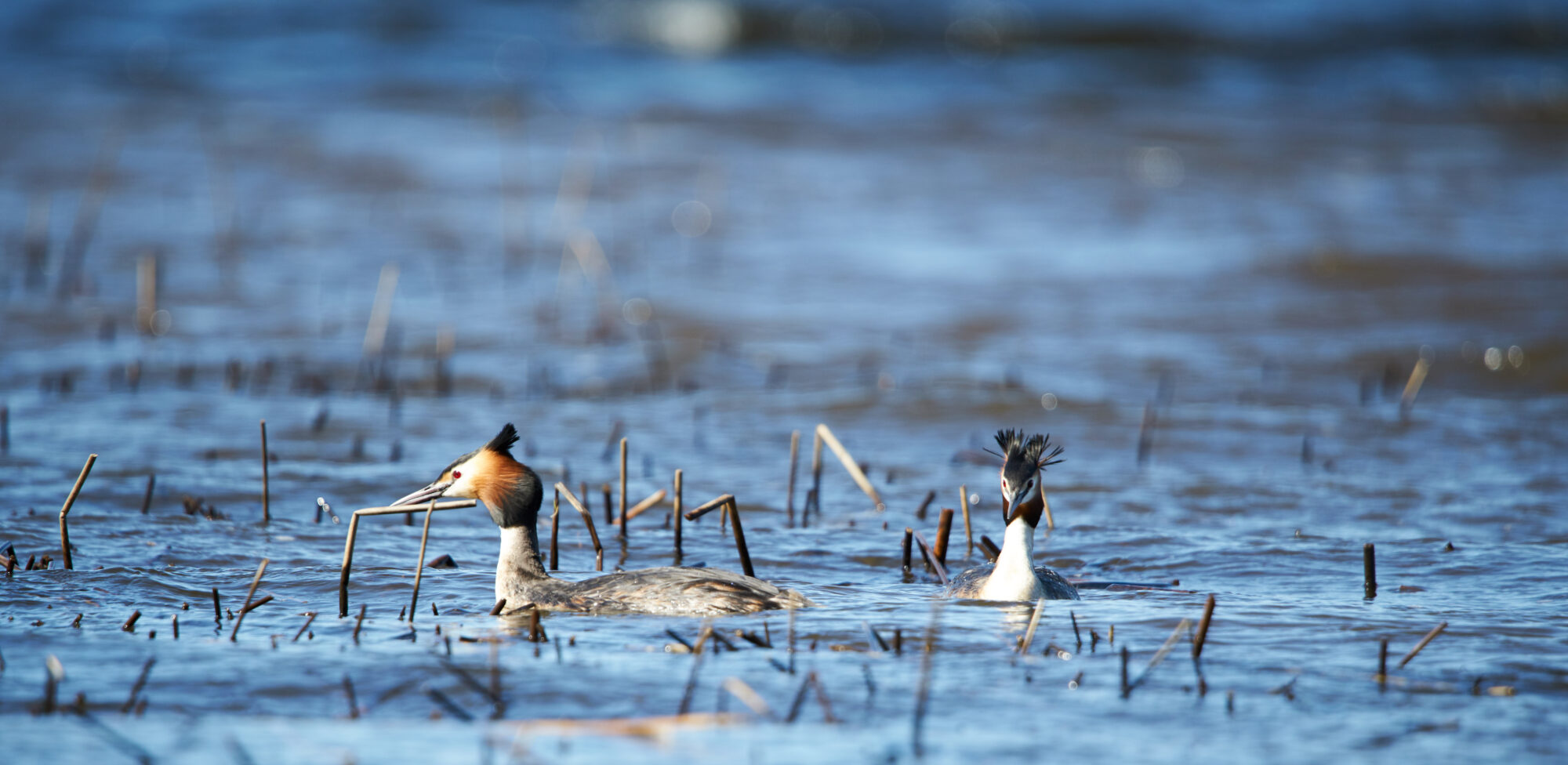 Valokuvaaja: Tarja Kouvo