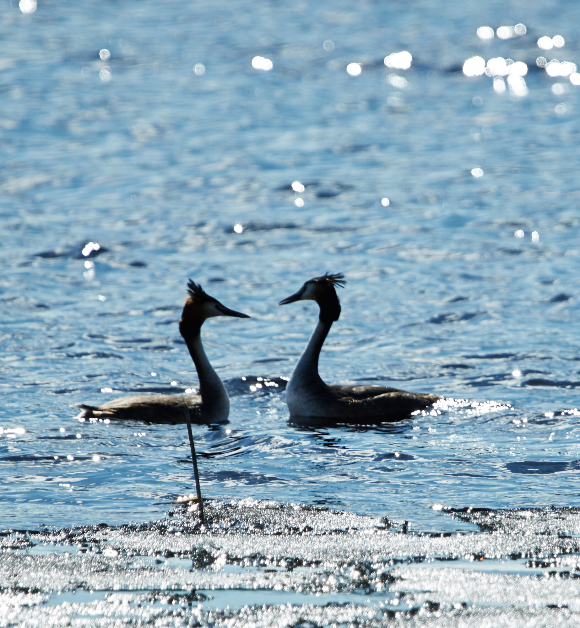 Valokuvaaja: Tarja Kouvo