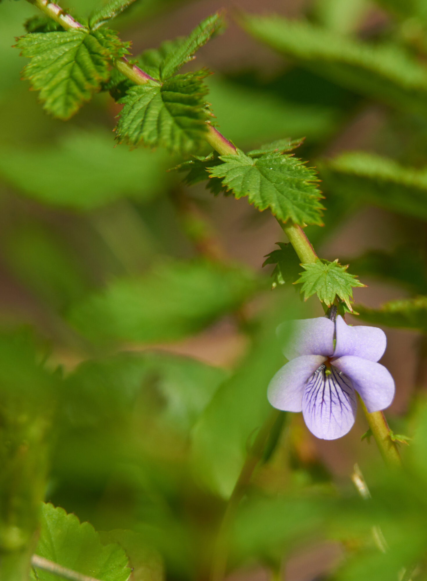 Valokuvaaja: Tarja Kouvo