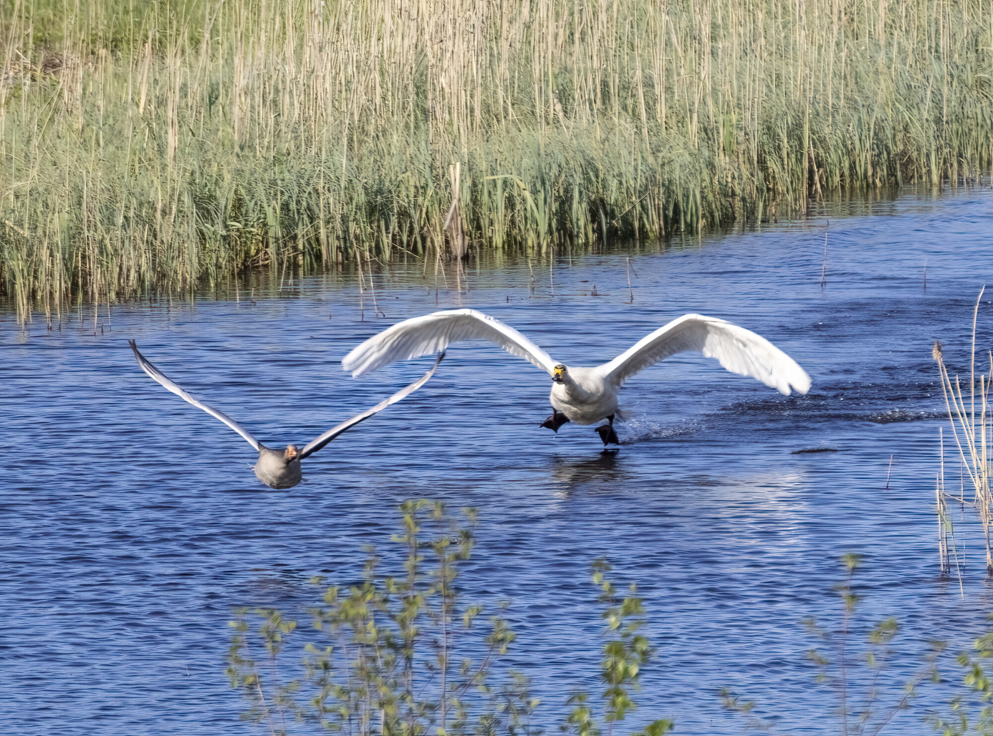 Valokuvaaja: Hannu Tikkanen