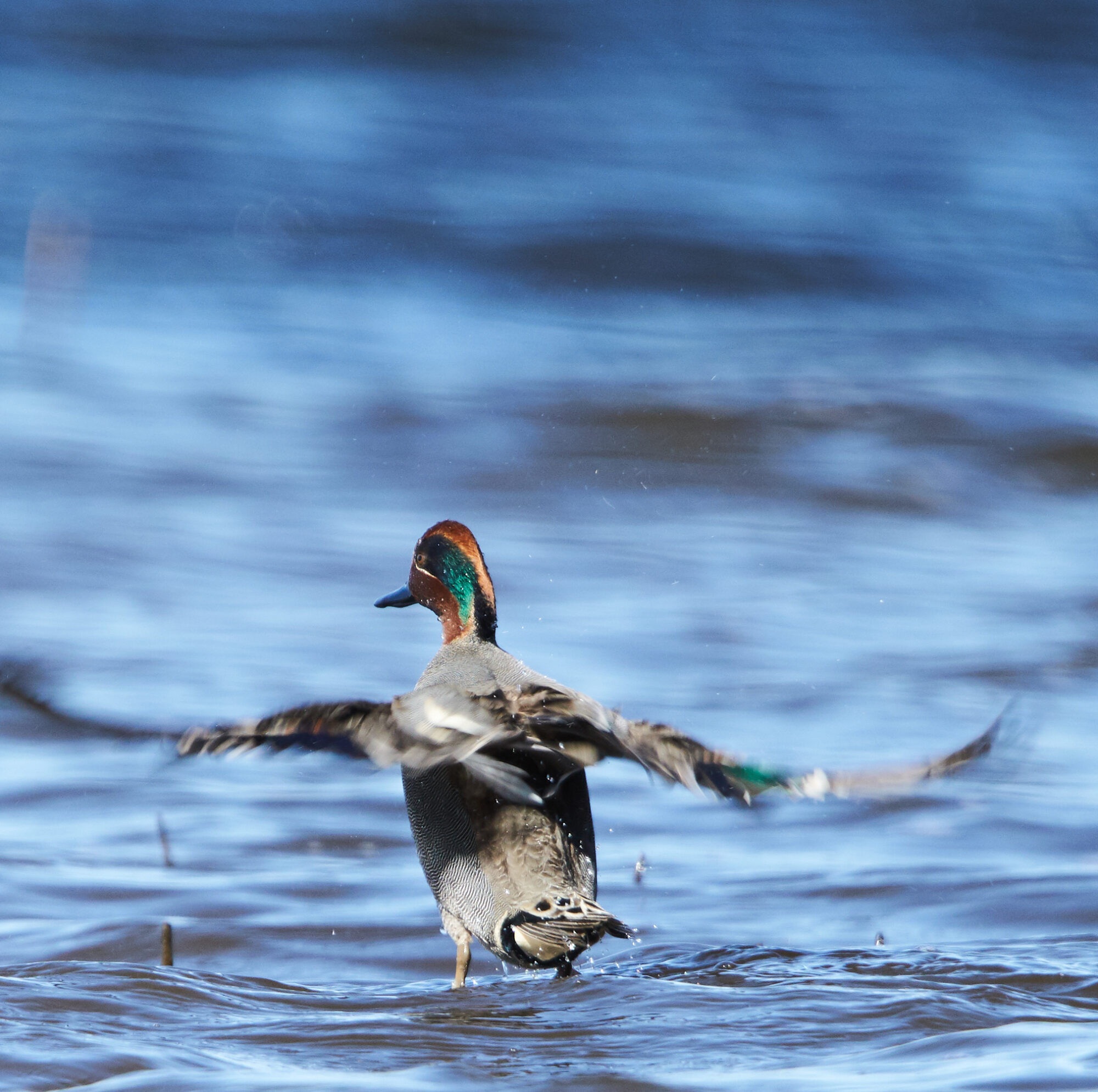 Valokuvaaja: Tarja Kouvo