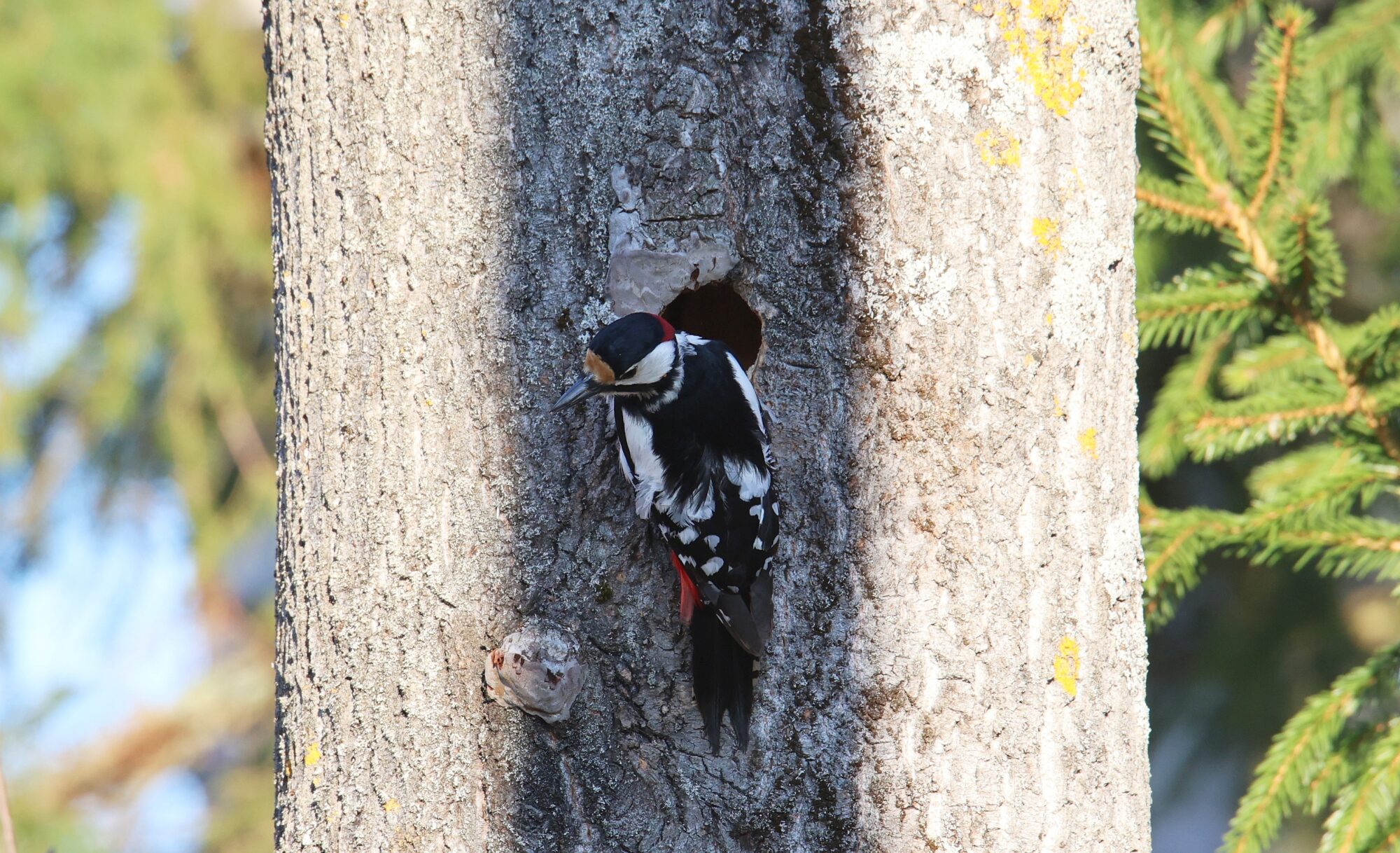 Valokuvaaja: Jaana Saarelainen