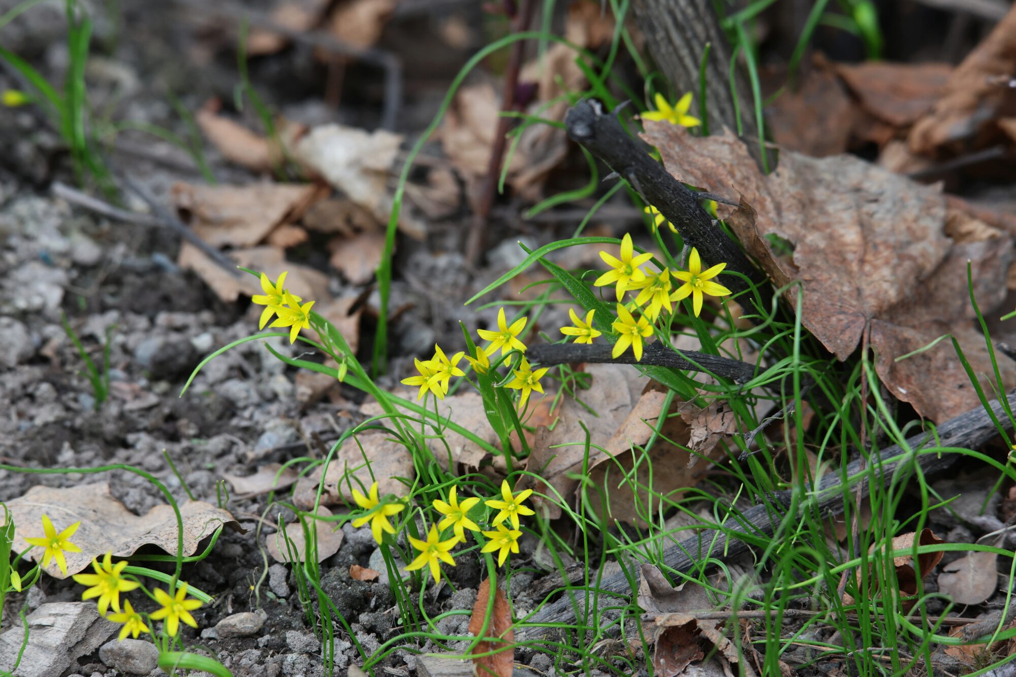 Valokuvaaja: Jaana Saarelainen