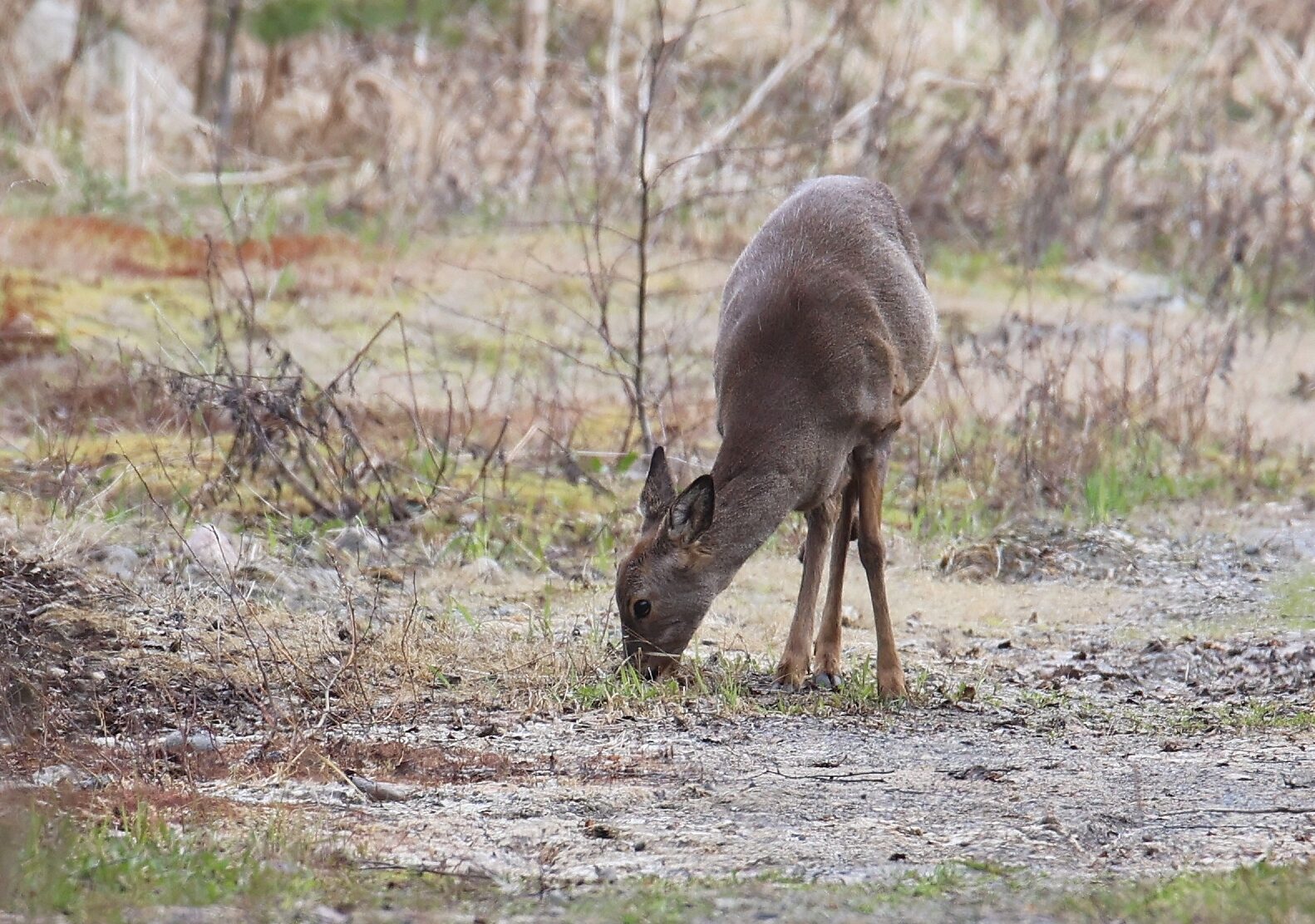 Valokuvaaja: Jaana Saarelainen