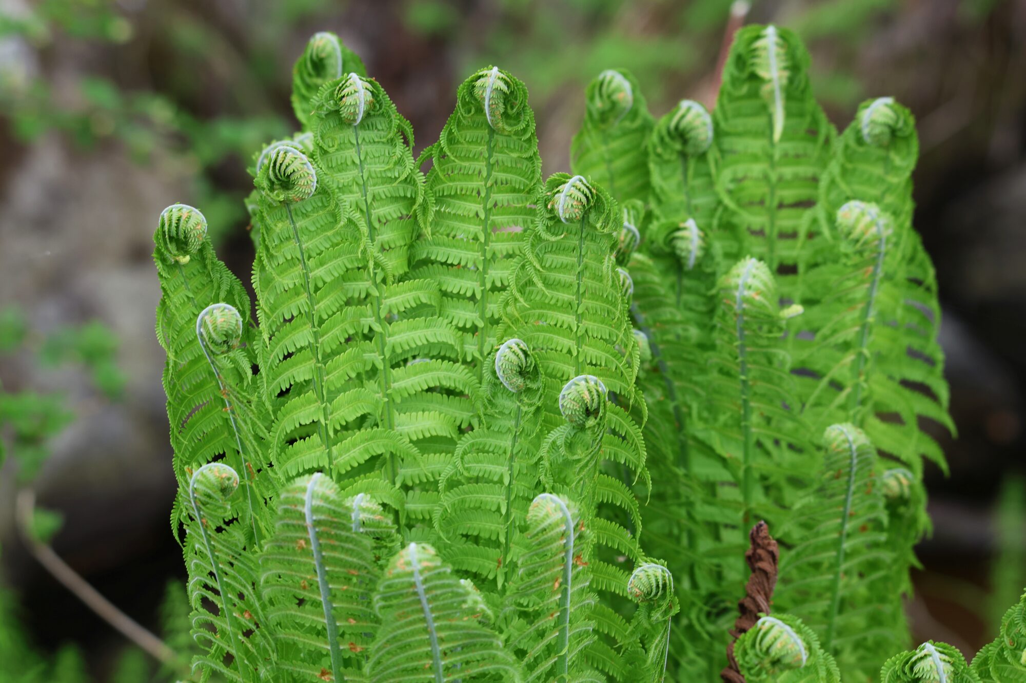 Valokuvaaja: Jaana Saarelainen