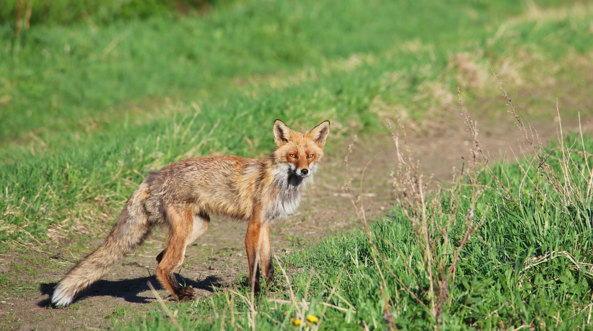Valokuvaaja: Jaana Saarelainen Valokuvaaja: Jaana Saarelainen