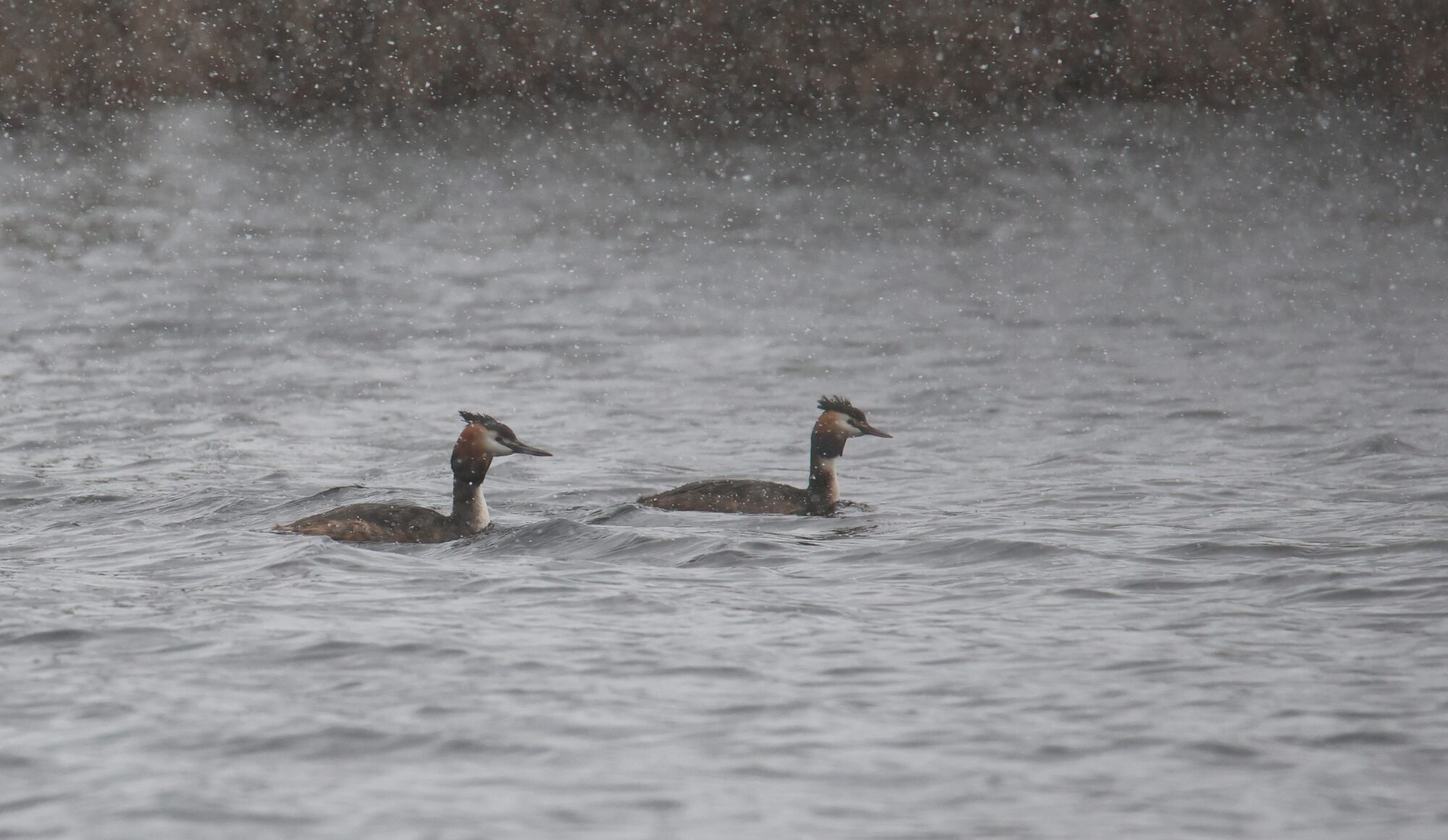 Valokuvaaja: Jaana Saarelainen