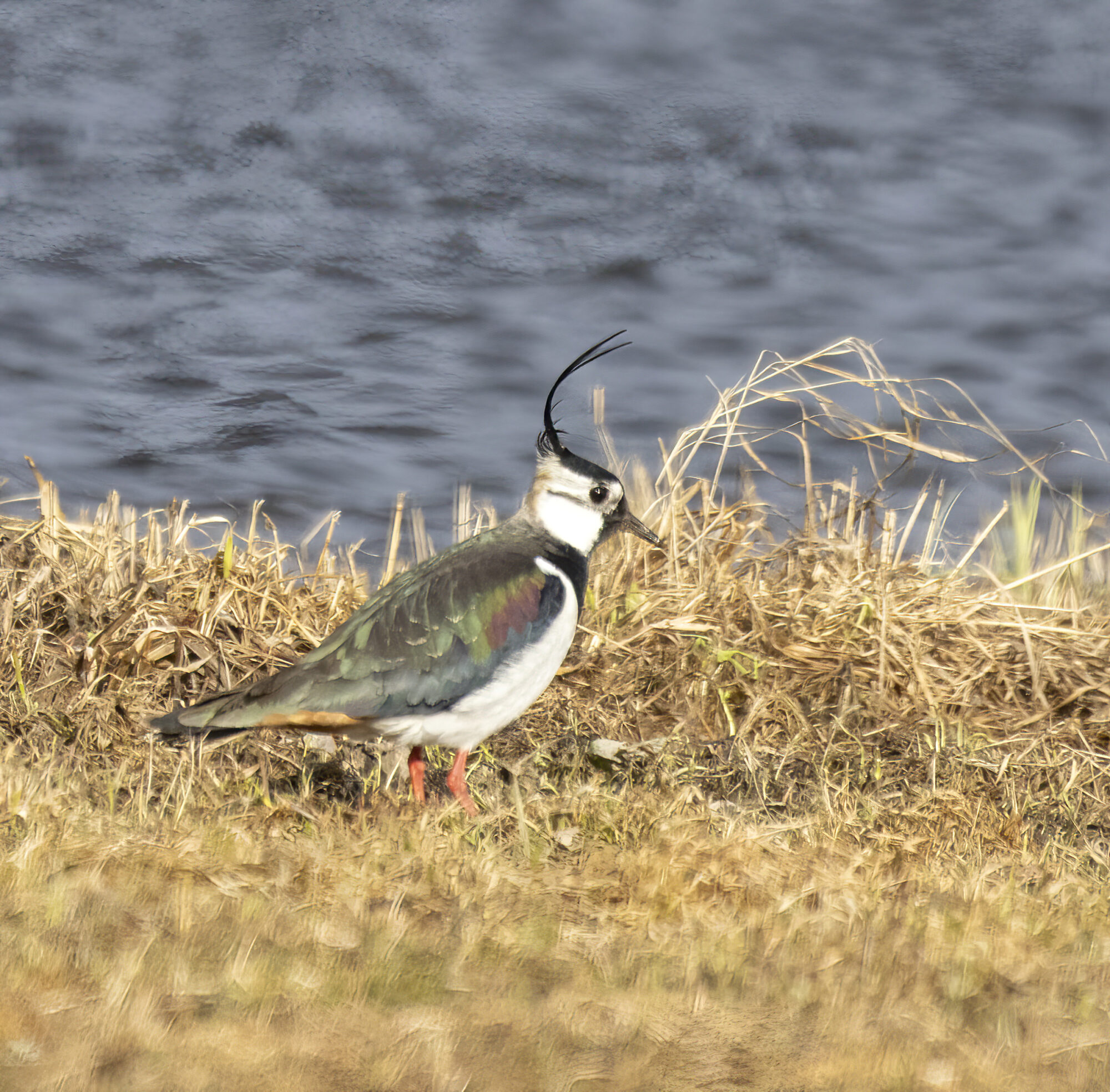 Valokuvaaja: Hannu Tikkanen