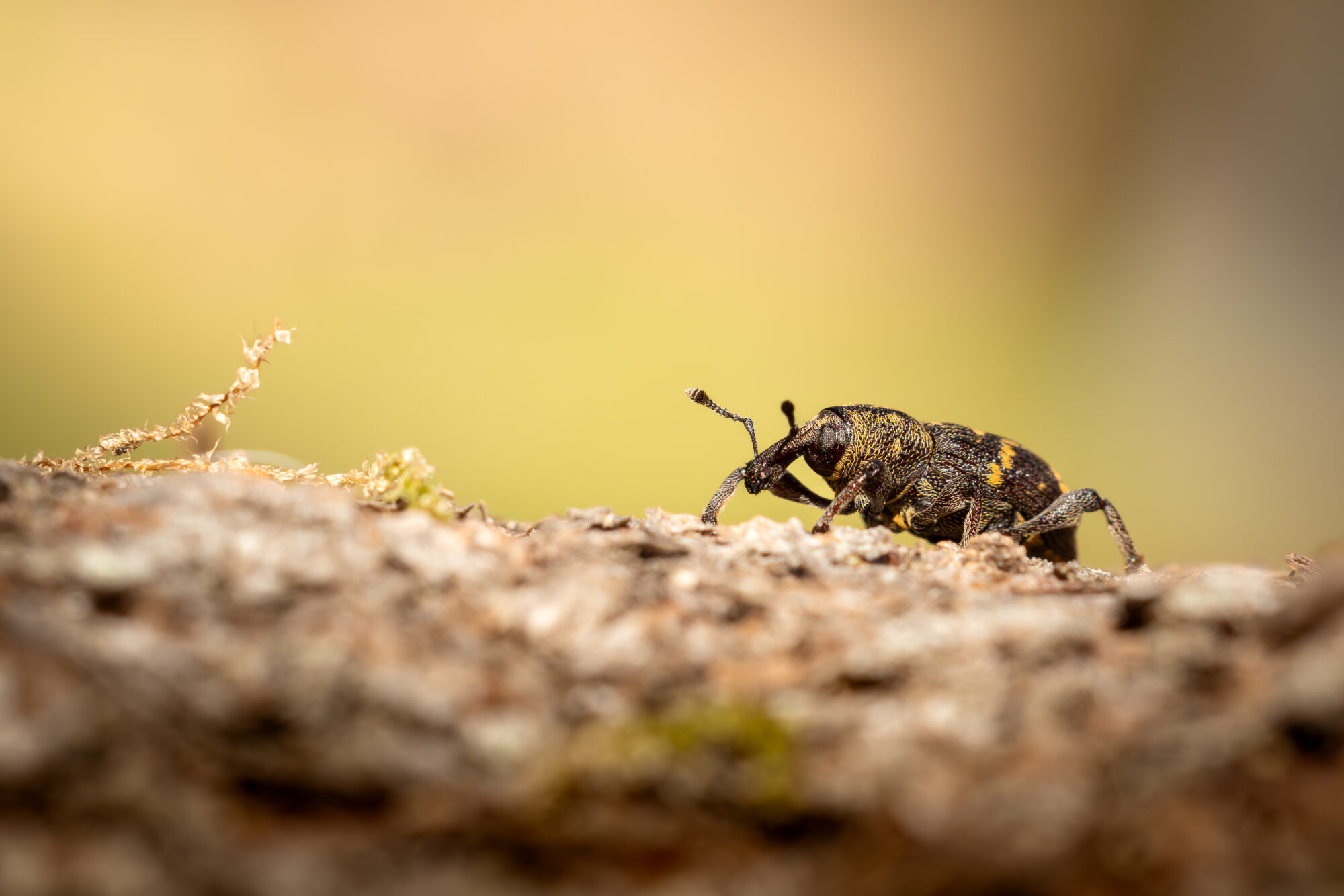 Valokuvaaja: Leevi Halme