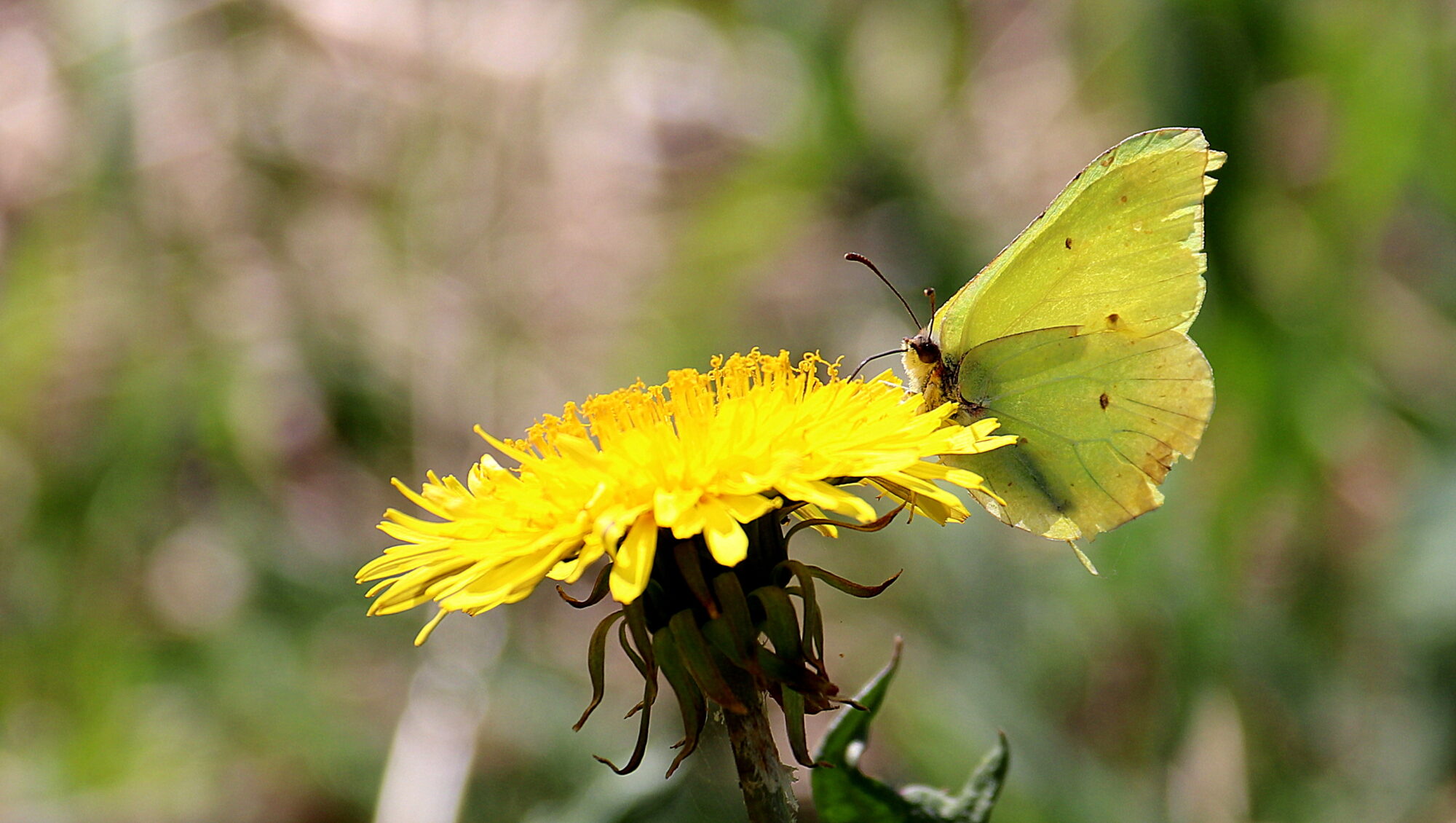 Valokuvaaja: sirpa Jyske