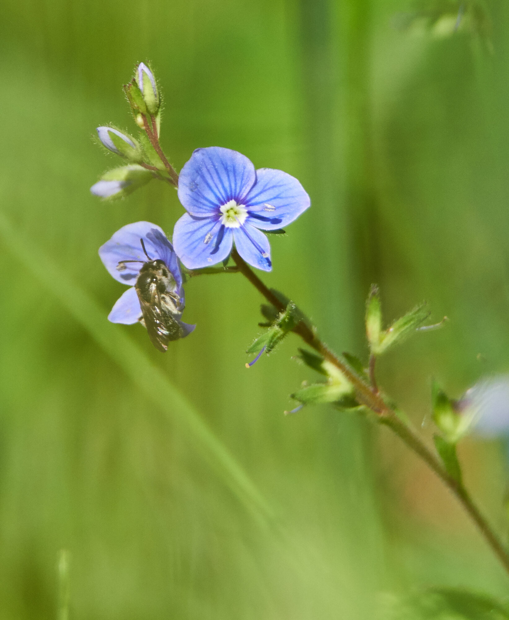Valokuvaaja: Tarja Kouvo