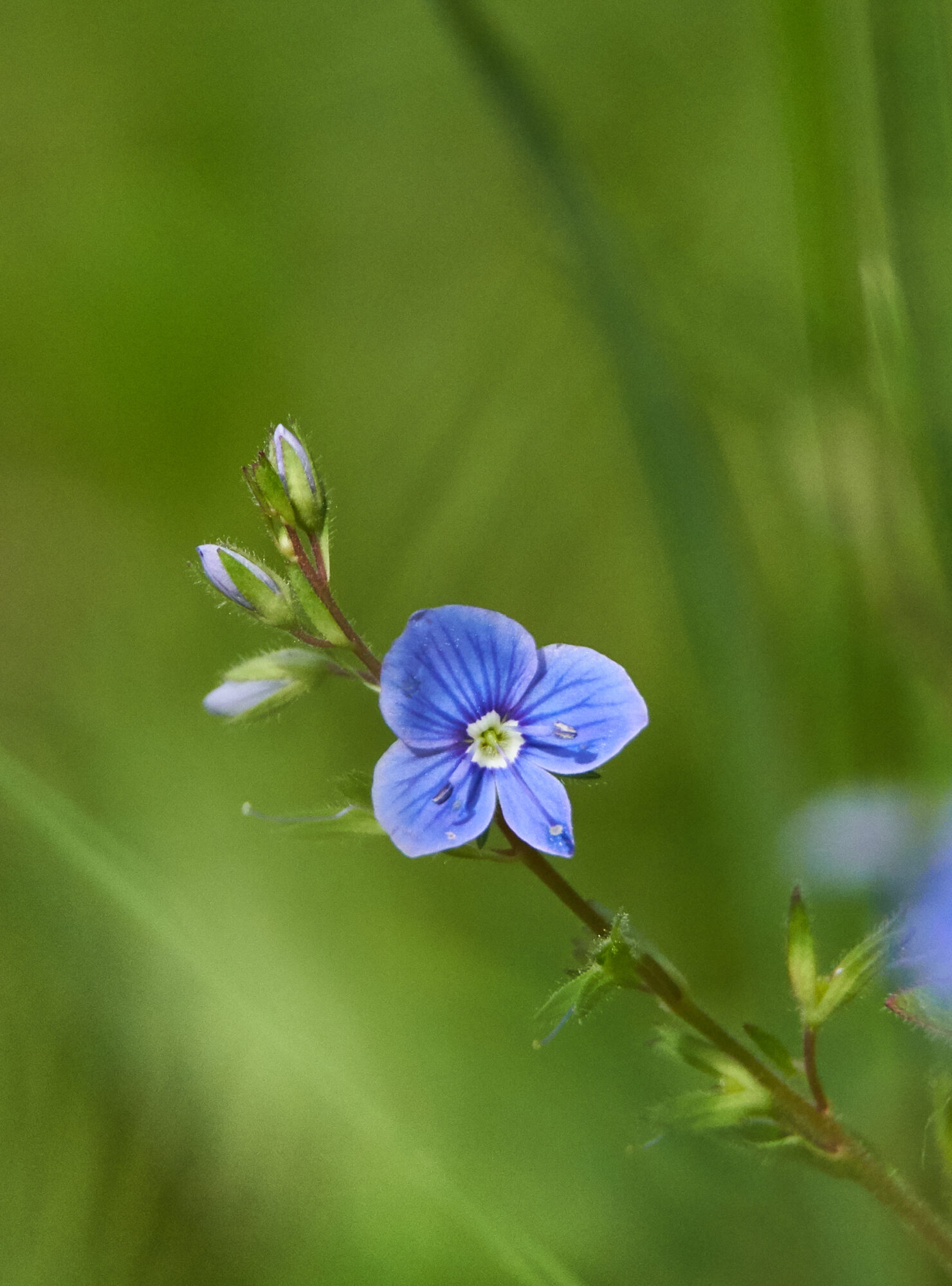 Valokuvaaja: Tarja Kouvo Valokuvaaja: Tarja Kouvo