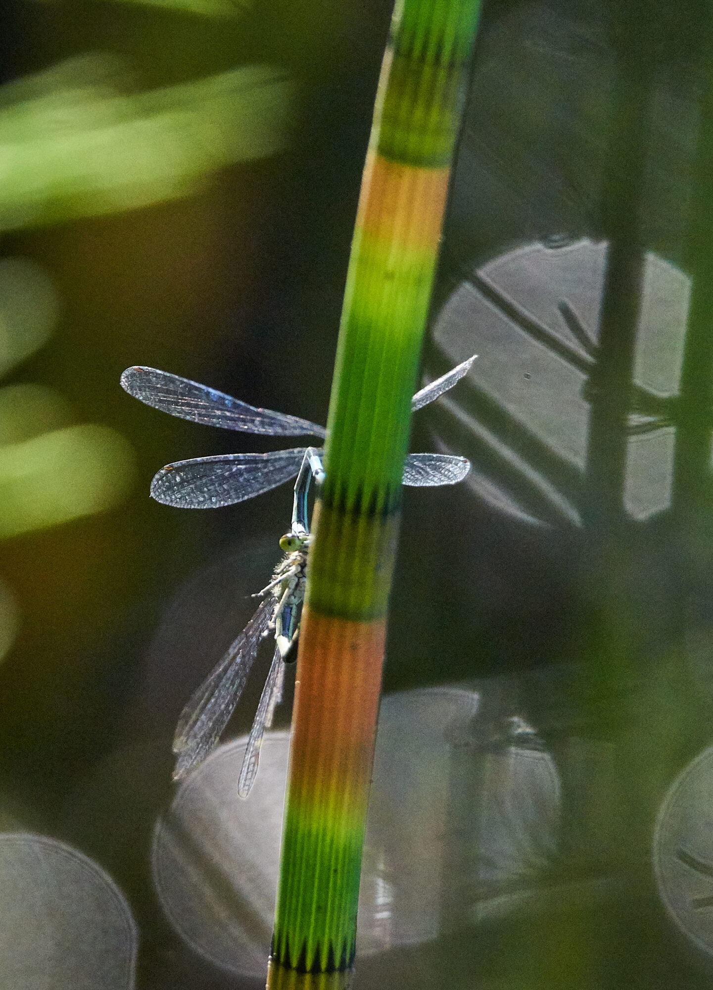 Valokuvaaja: Tarja Kouvo