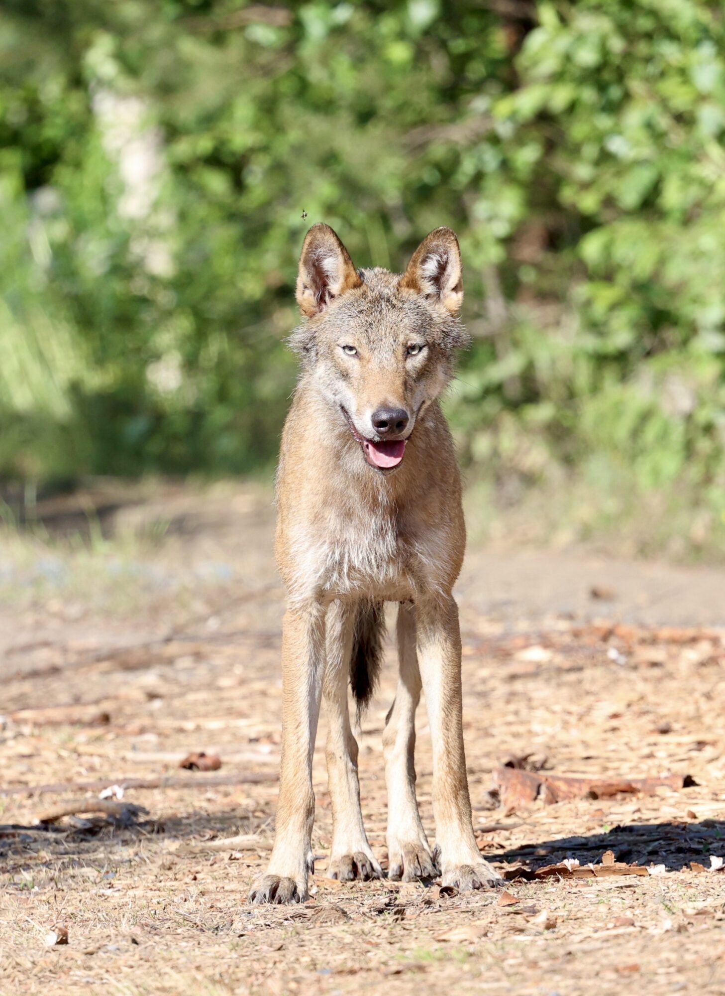 Valokuvaaja: Jukka Henriksson