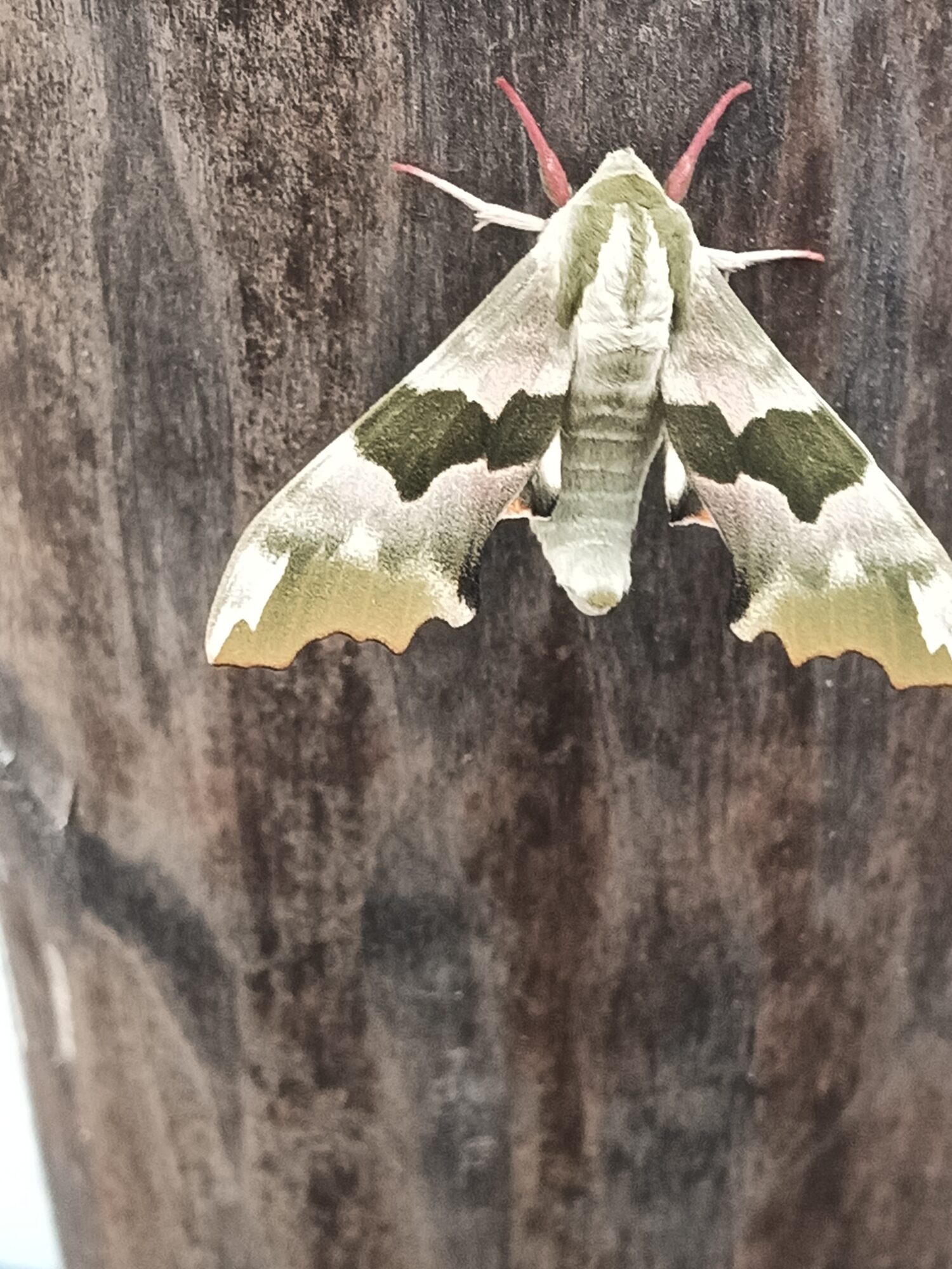 Valokuvaaja: Pekka Paasonen