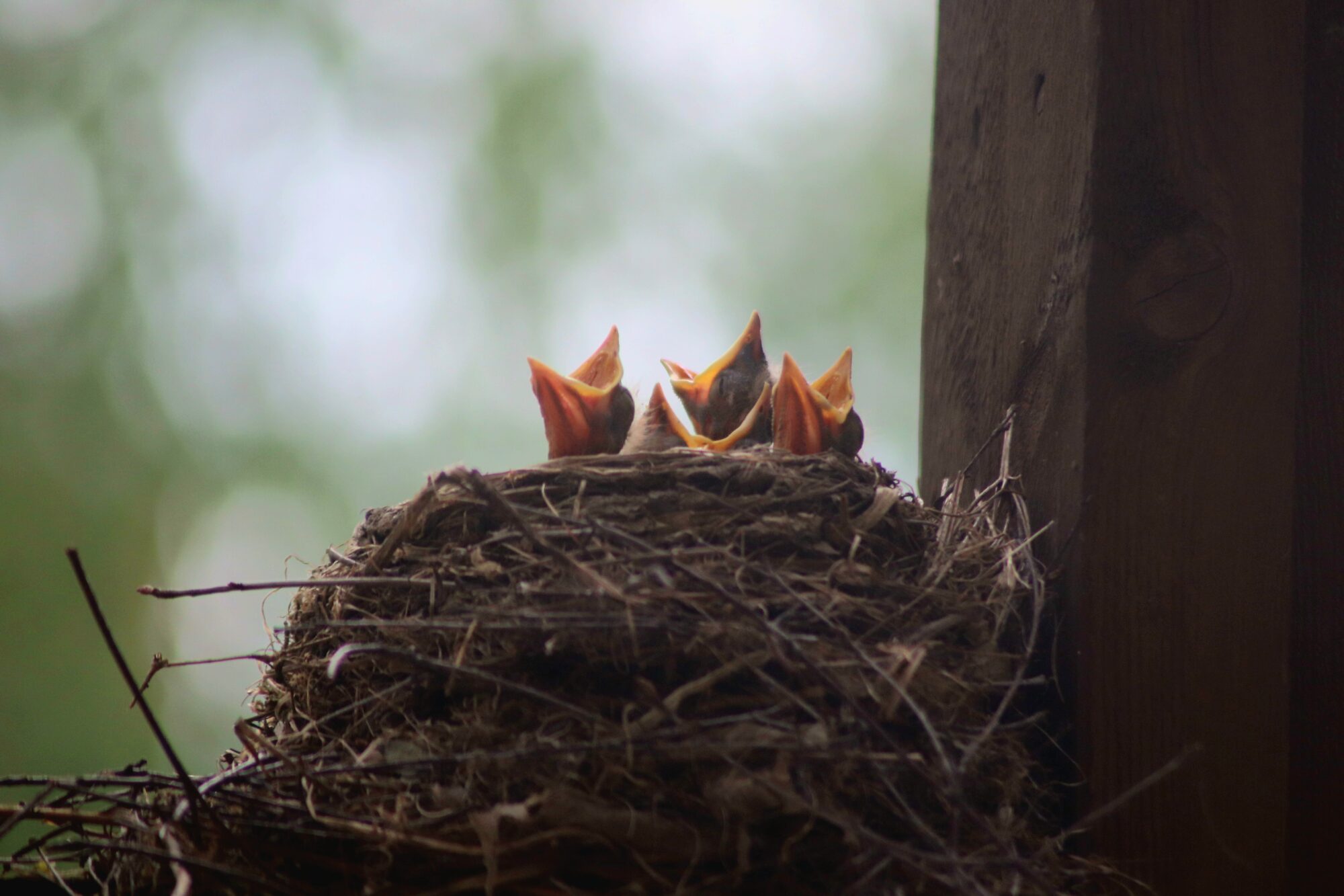 Valokuvaaja: Kati Kärki Valokuvaaja: Kati Kärki