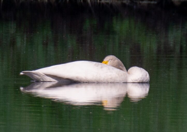 Valokuvaaja: Helena Minkkilä Valokuvaaja: Helena Minkkilä