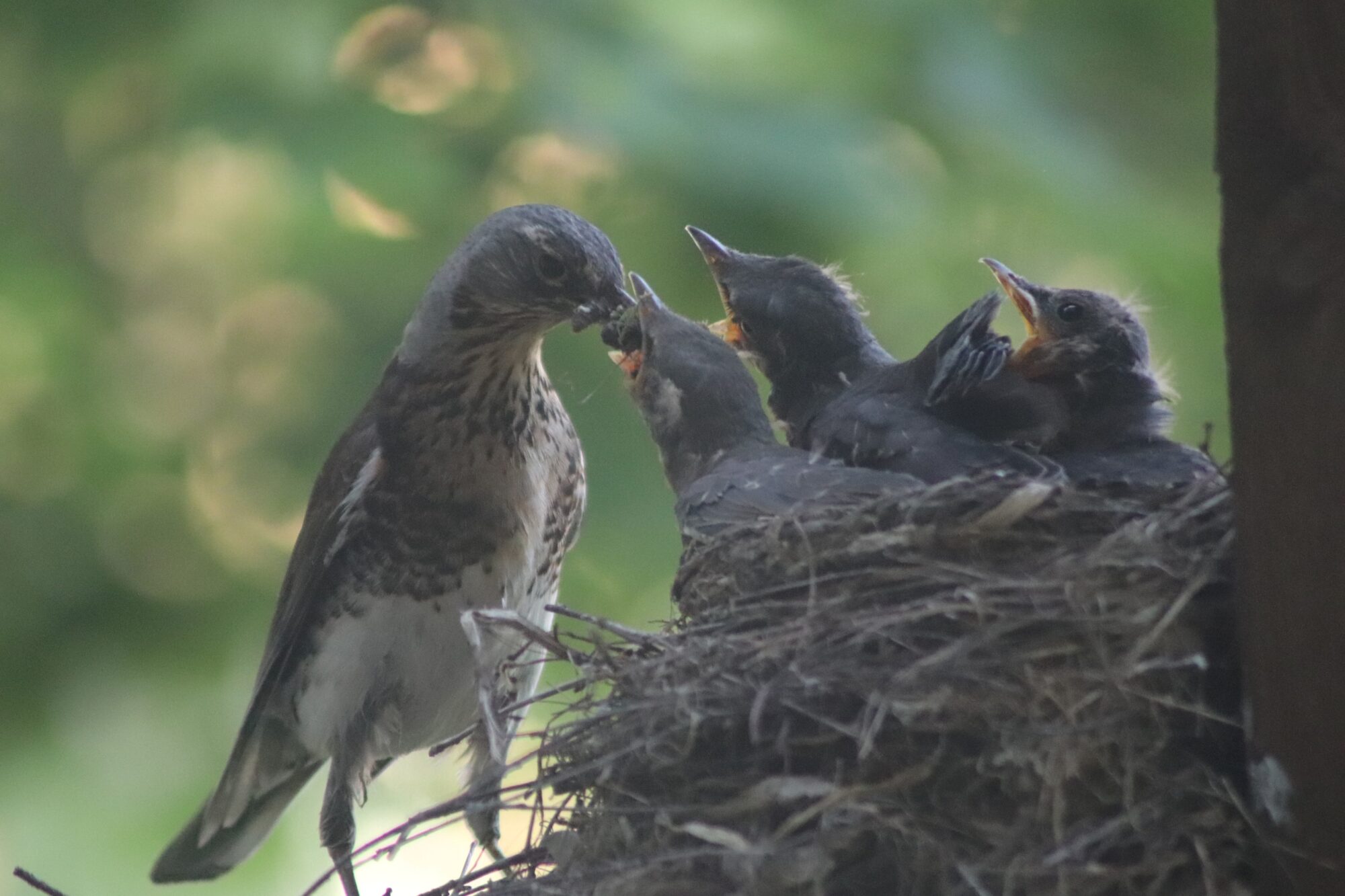 Valokuvaaja: Kati Kärki