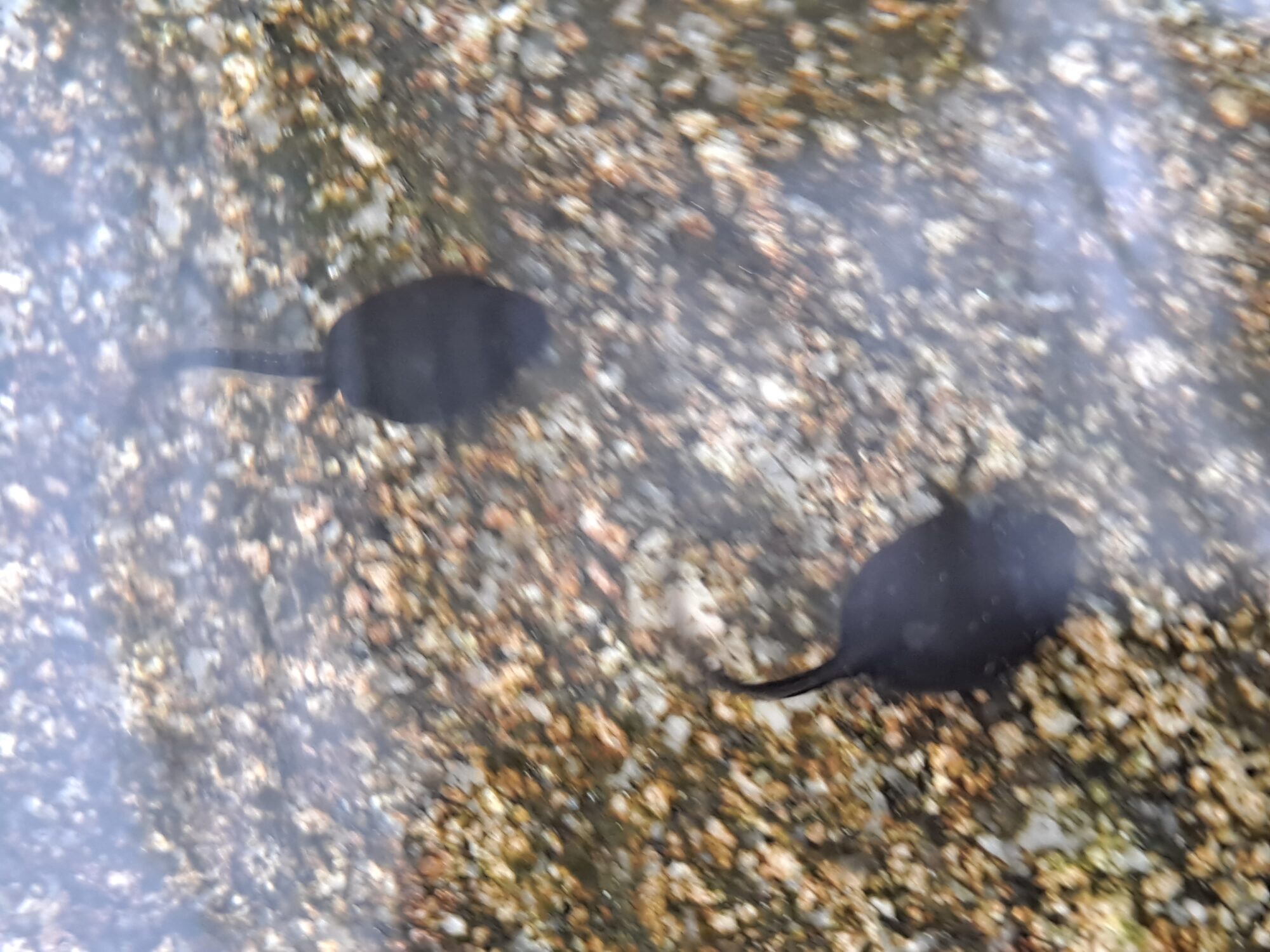 Valokuvaaja: Satu Suuntala