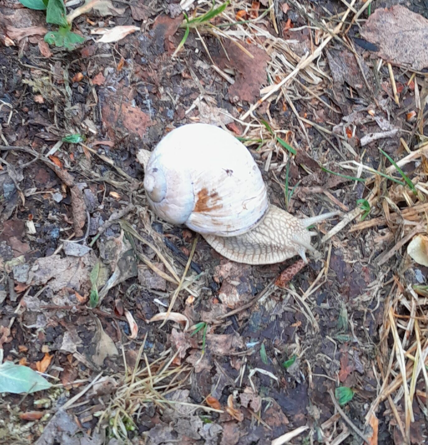 Valokuvaaja: Elina Koksalo Valokuvaaja: Elina Koksalo