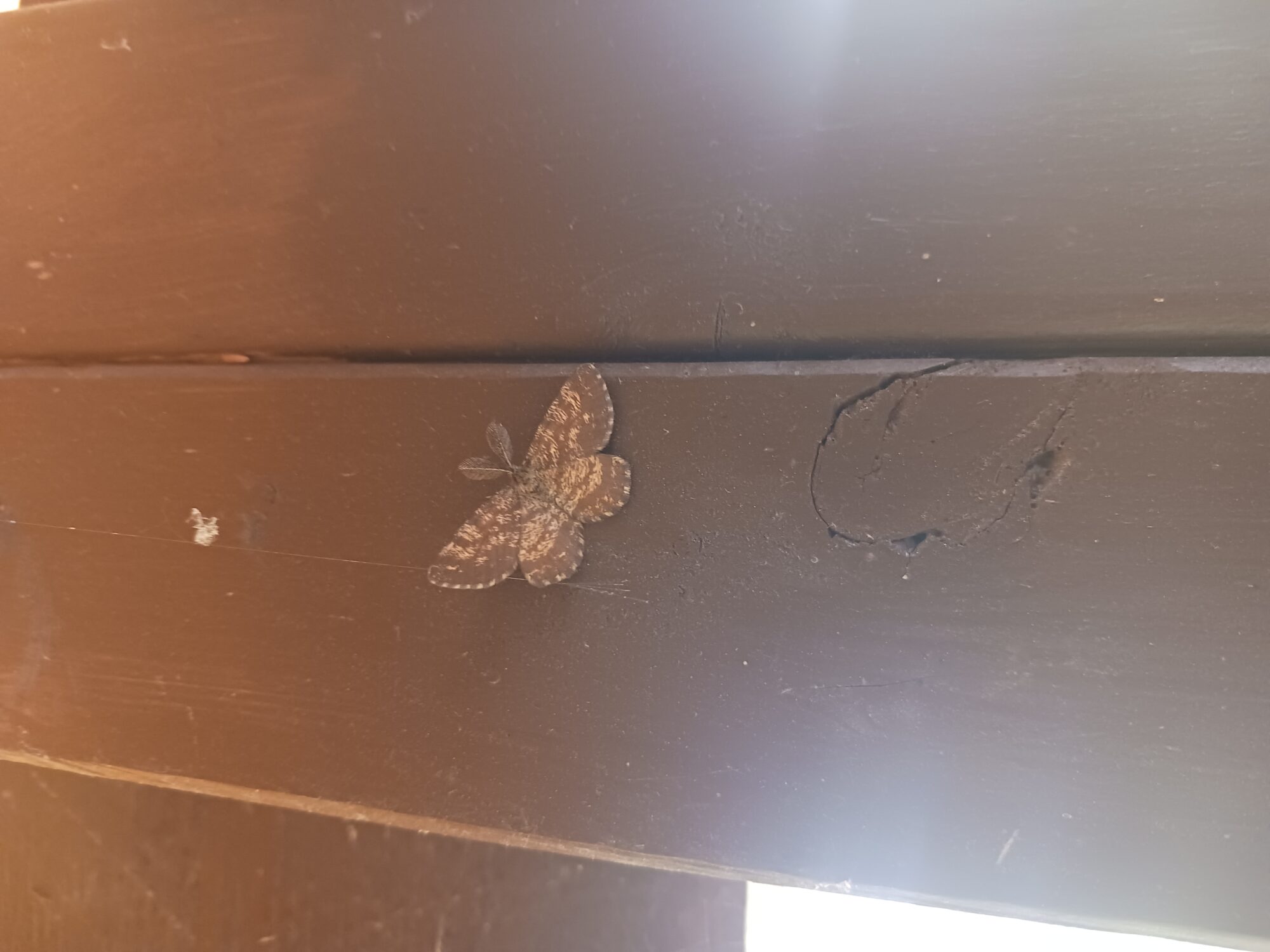 Valokuvaaja: Harri vuorela