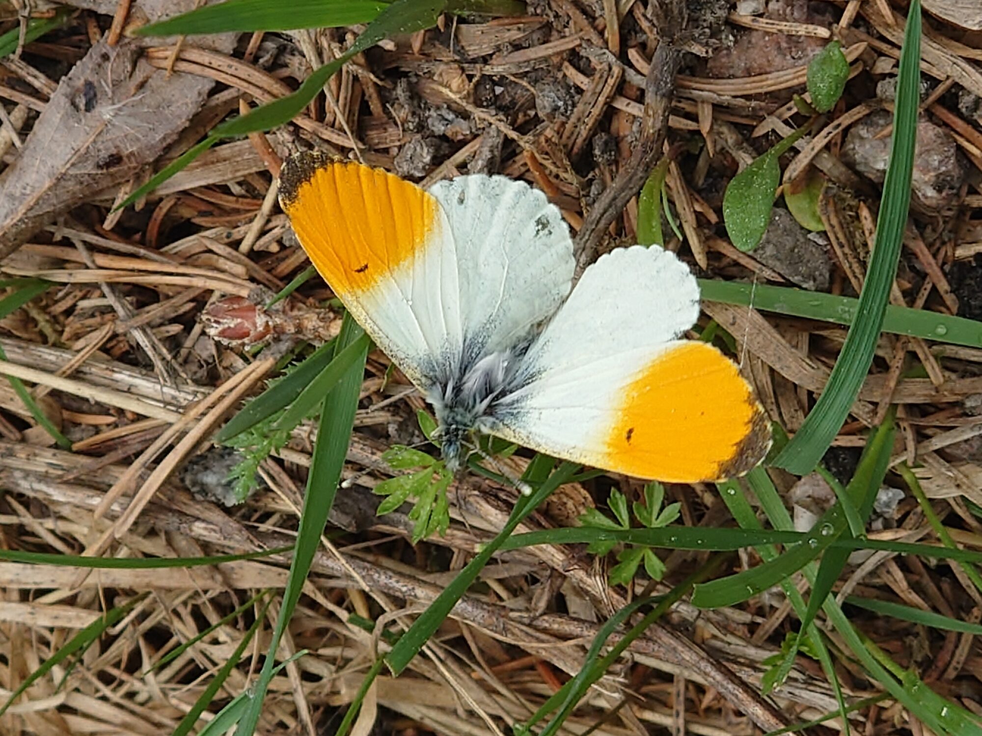 Valokuvaaja: Jouni Roppola
