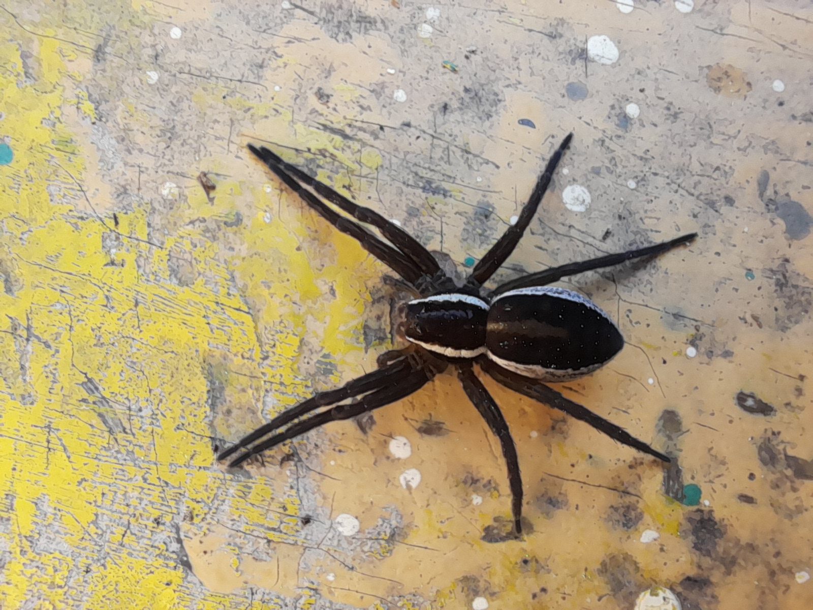 Valokuvaaja: Eeva Surakka Valokuvaaja: Eeva Surakka