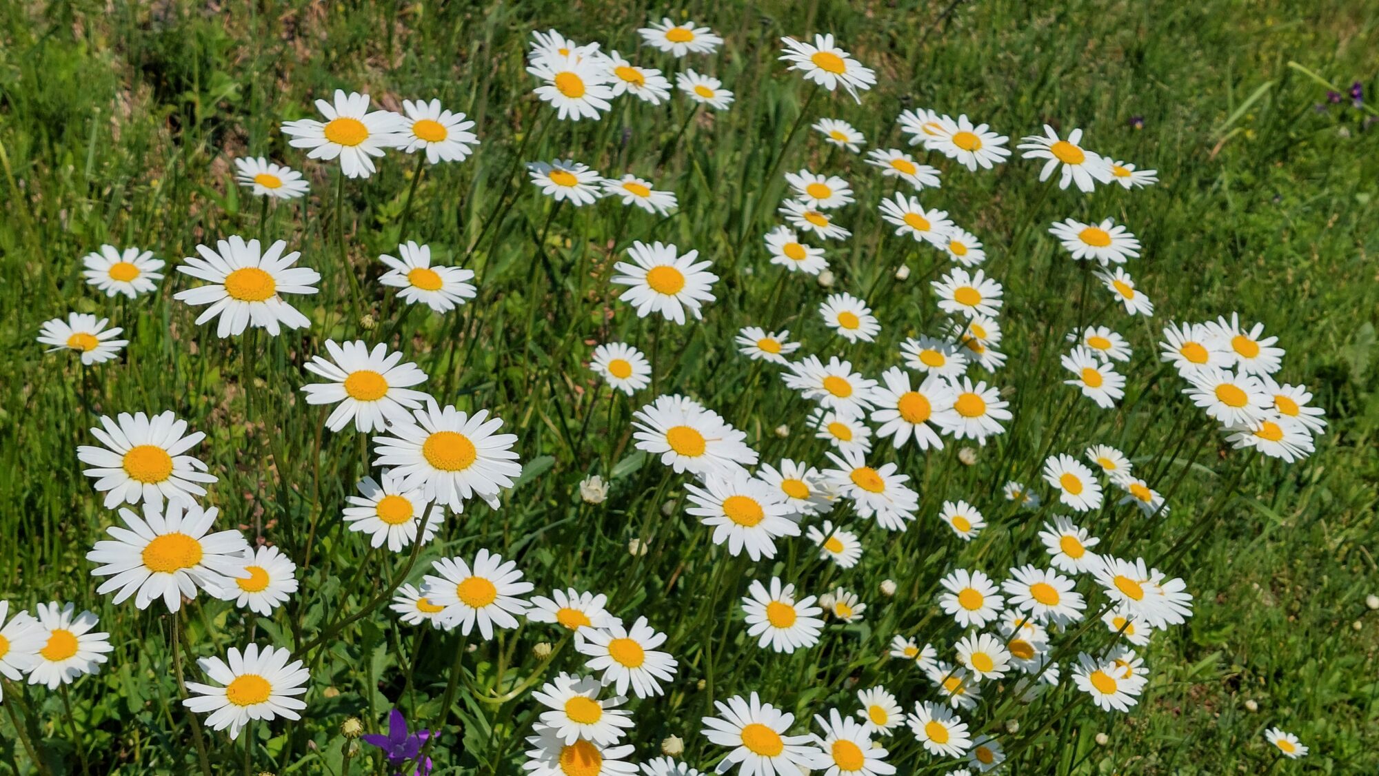 Valokuvaaja: Tarja Naukkarinen